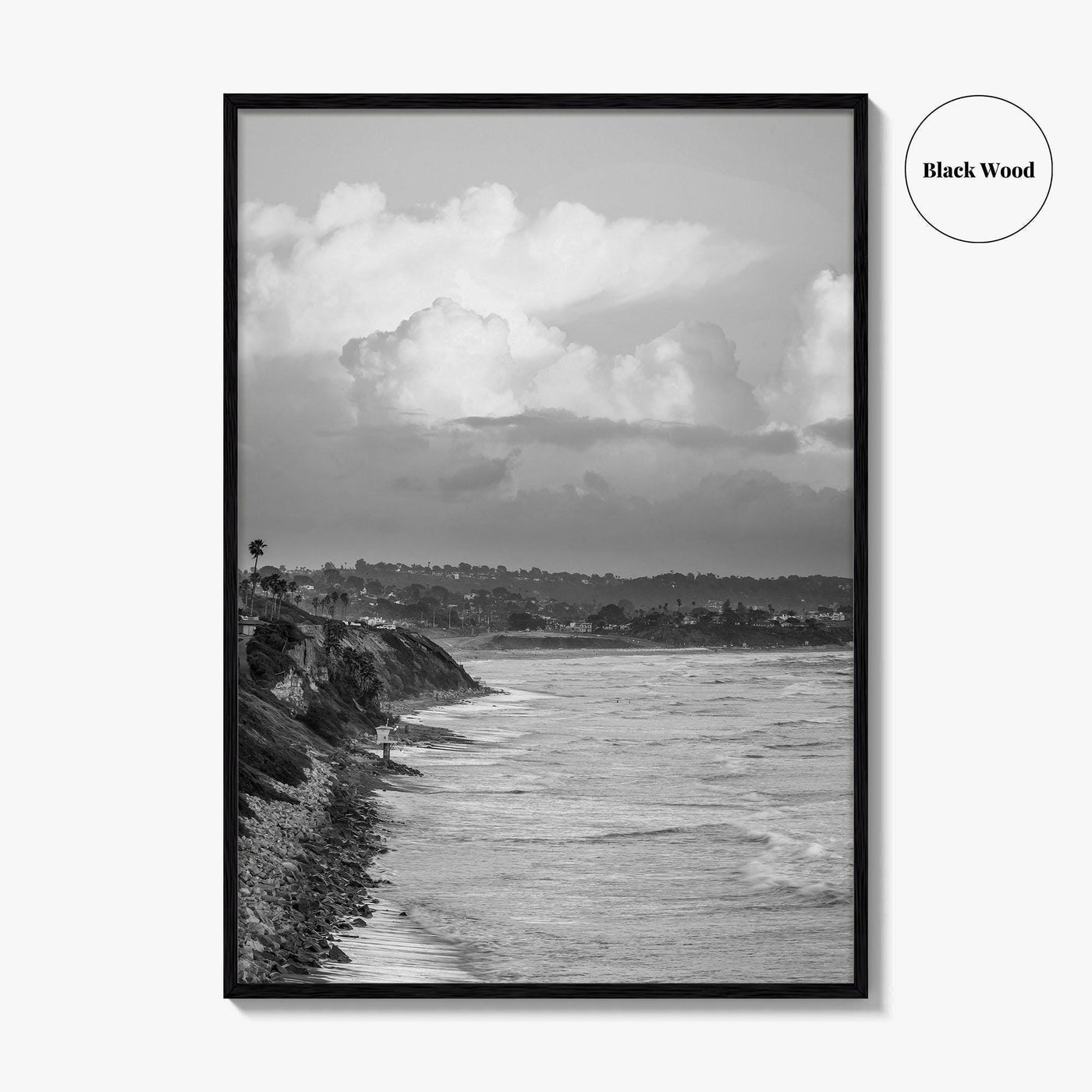 Encinitas Black and White Fine Art Photo Print, San Elijo Campground California Poster