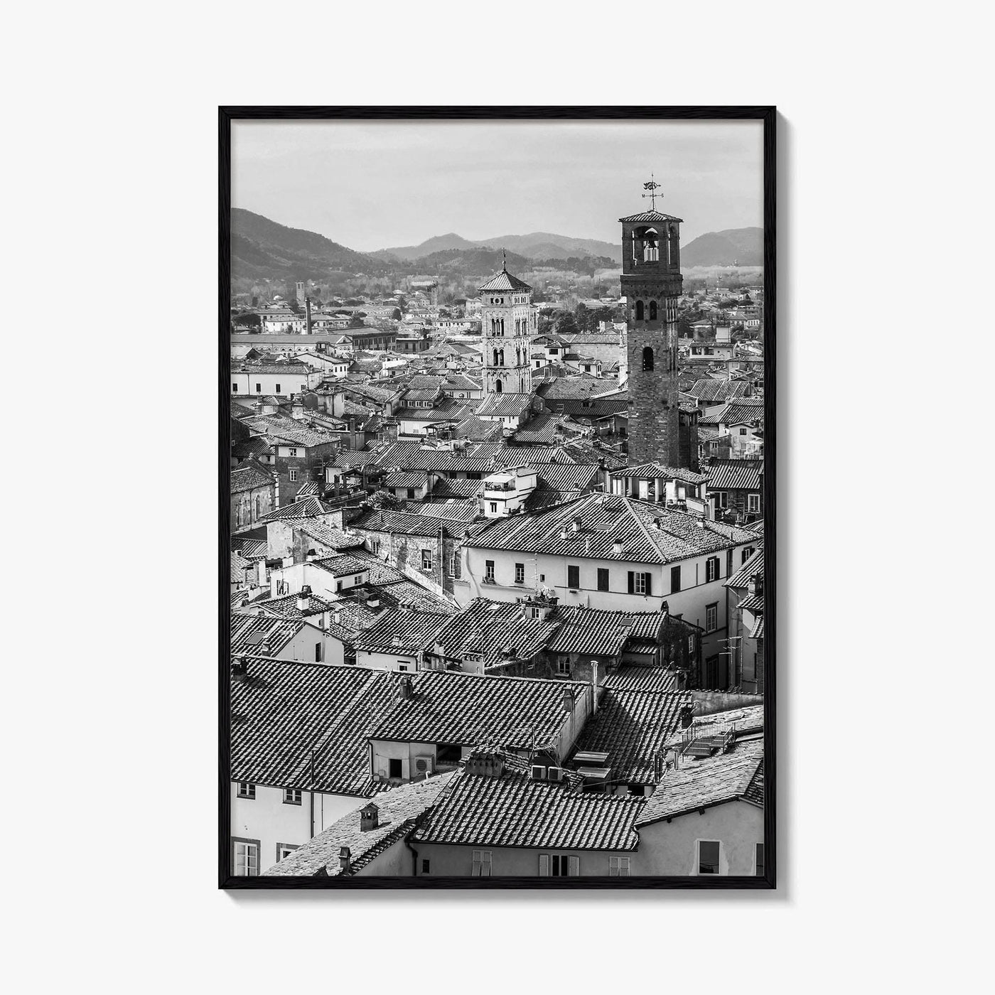 Lucca Black and White Fine Art Photo Print, Tuscany Italy Guinigi Tower View Poster