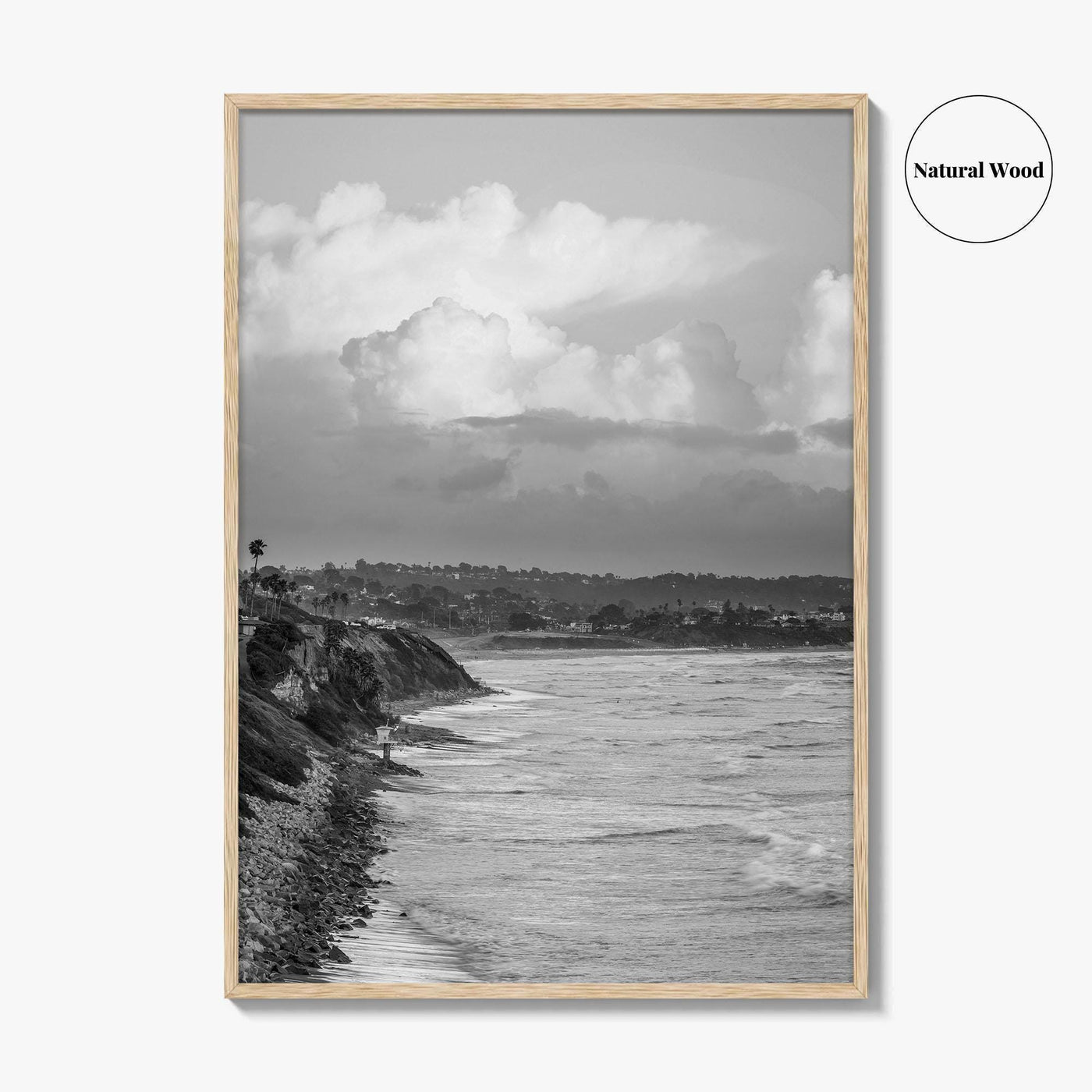 Encinitas Black and White Fine Art Photo Print, San Elijo Campground California Poster