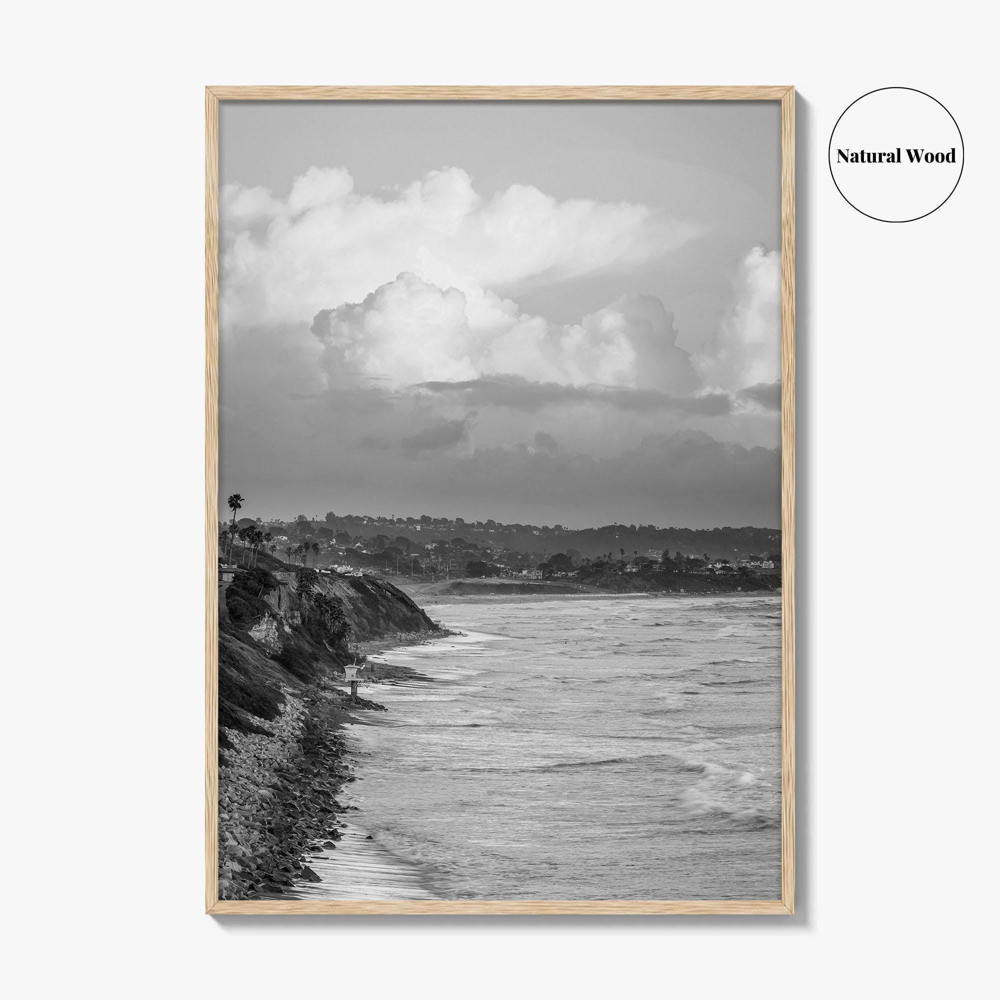 Encinitas Black and White Fine Art Photo Print, San Elijo Campground California Poster