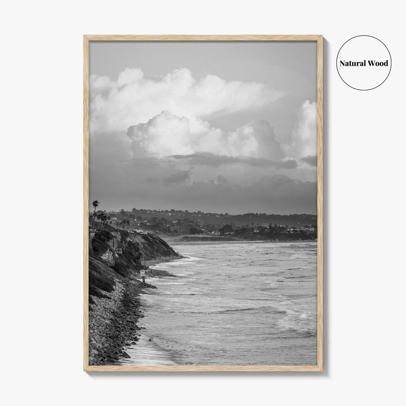 Encinitas Black and White Fine Art Photo Print, San Elijo Campground California Poster
