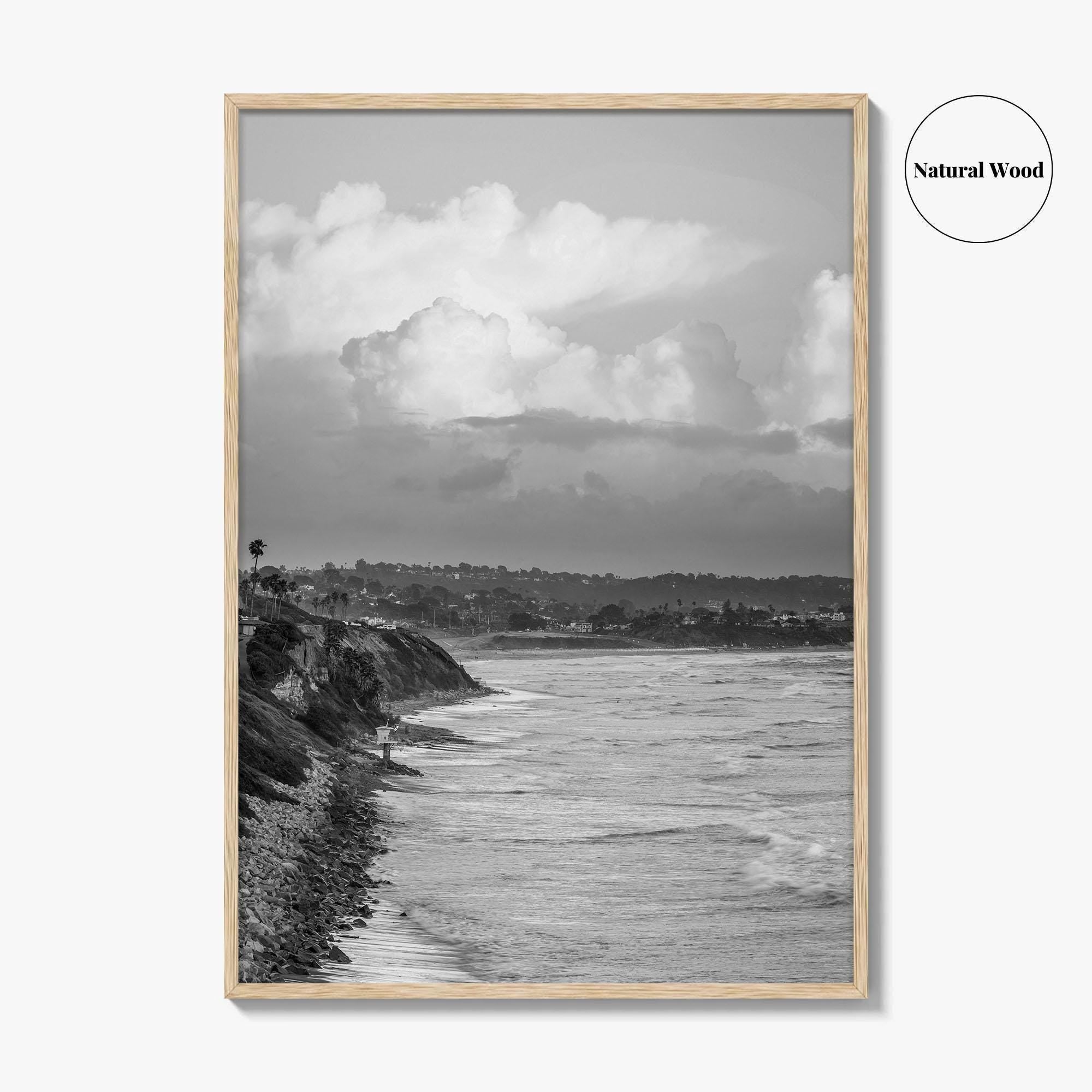 Encinitas Black and White Fine Art Photo Print, San Elijo Campground California Poster