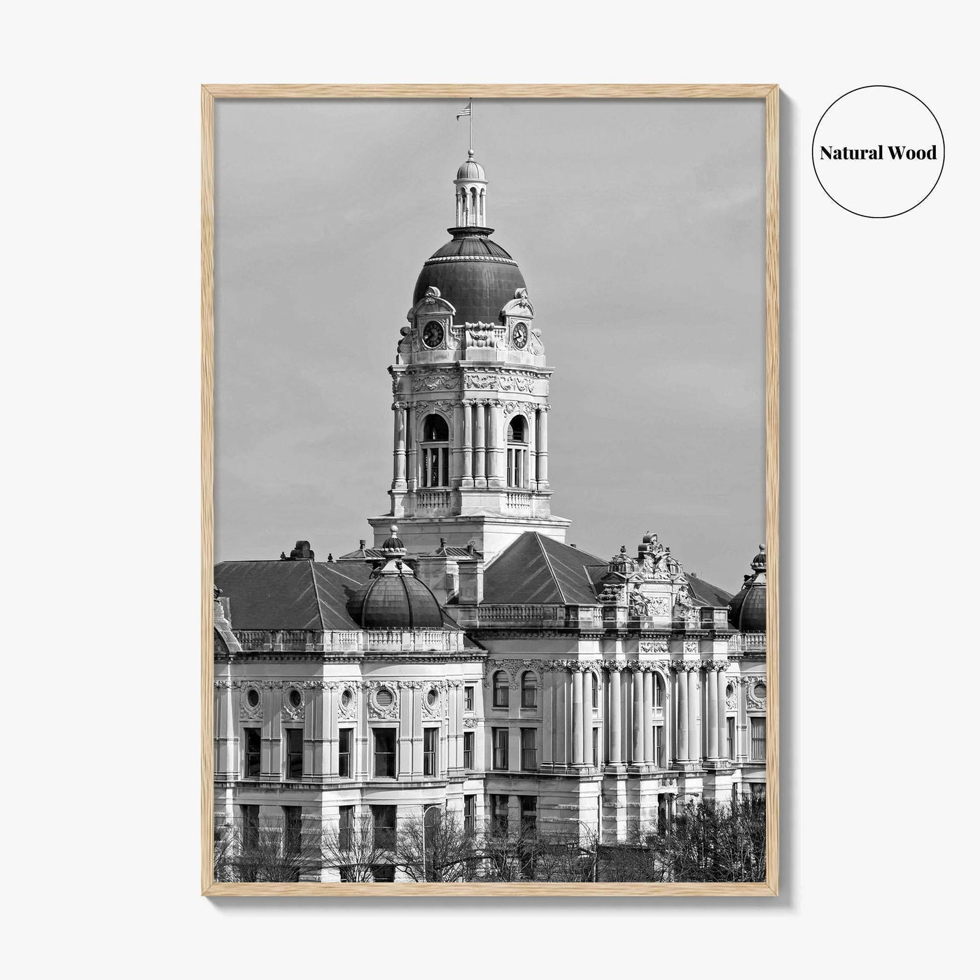 Evansville Indiana Black and White Fine Art Photo Print, Old Courthouse Poster, USA Poster