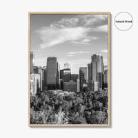 Calgary Skyline Black and White Fine Art Photo Print, City Bow River Alberta Poster