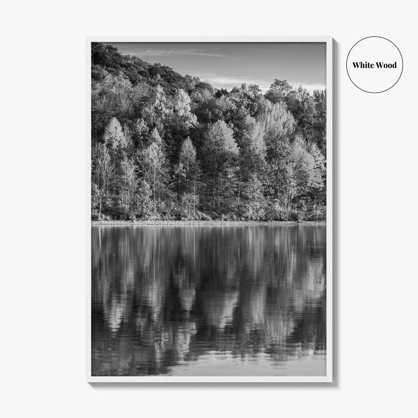 Maryland Black and White Fine Art Photo Print, Lake Habeeb, Rocky Gap State Park