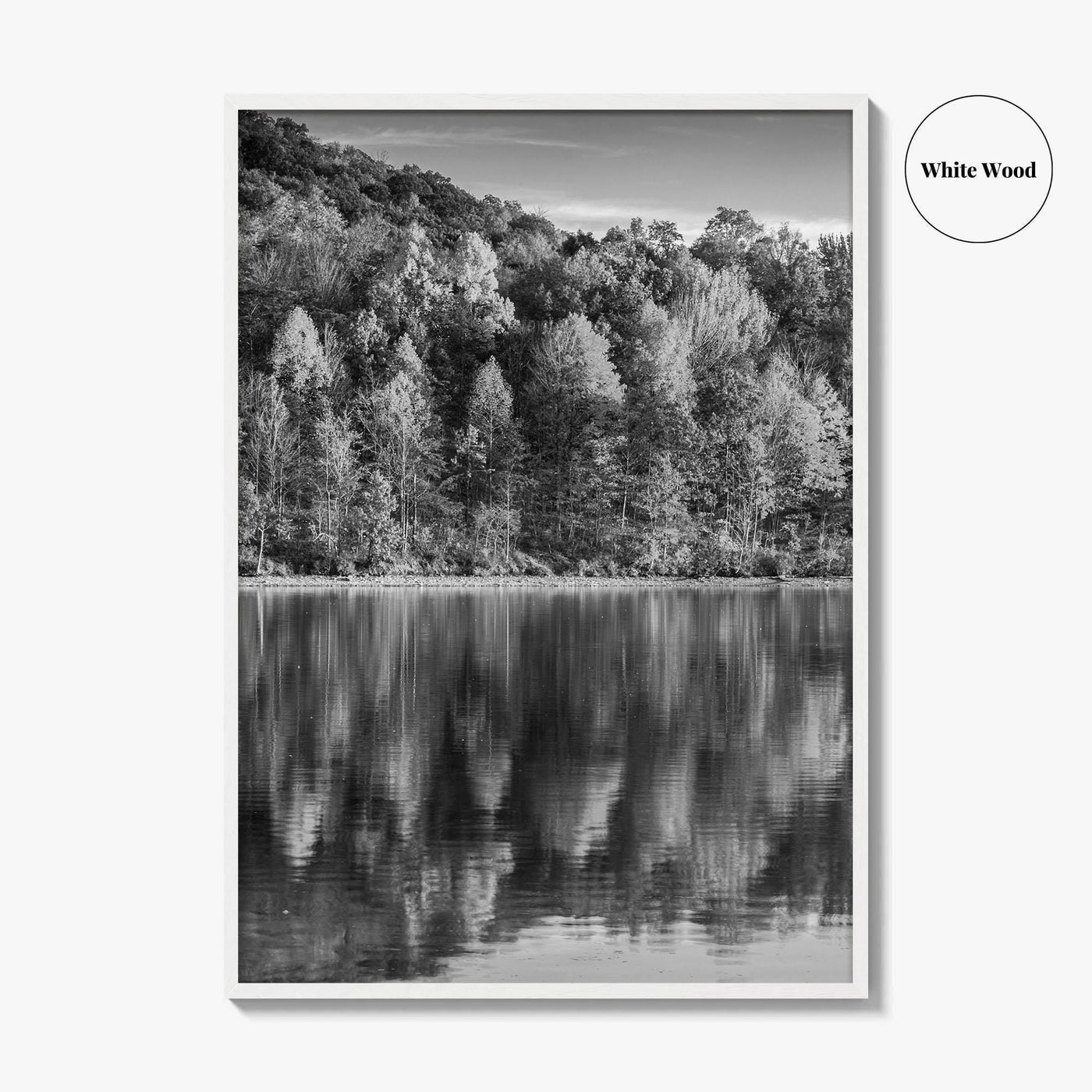 Maryland Black and White Fine Art Photo Print, Lake Habeeb, Rocky Gap State Park