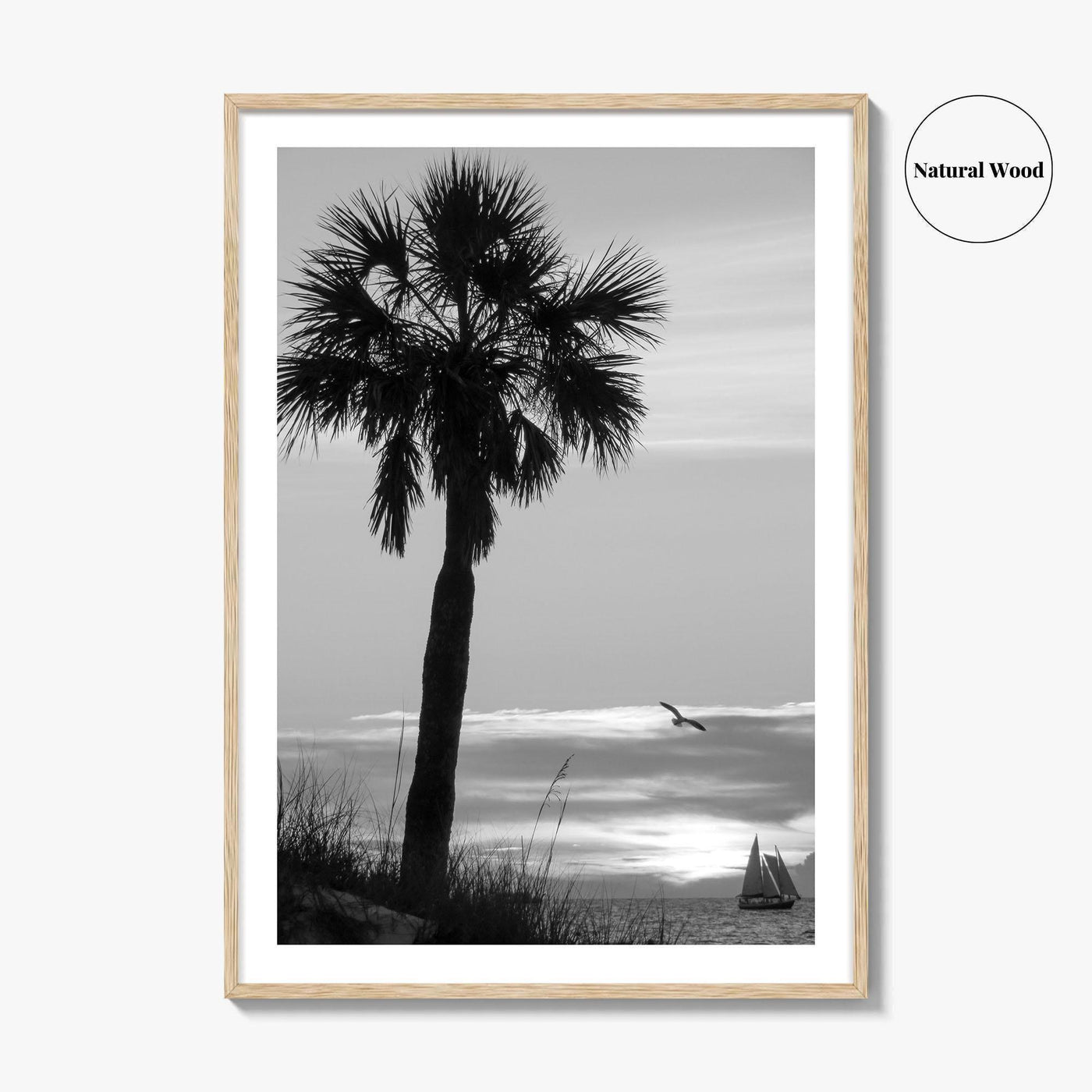 Clearwater Black and White Fine Art Photo Print, Palm Tree Florida Poster