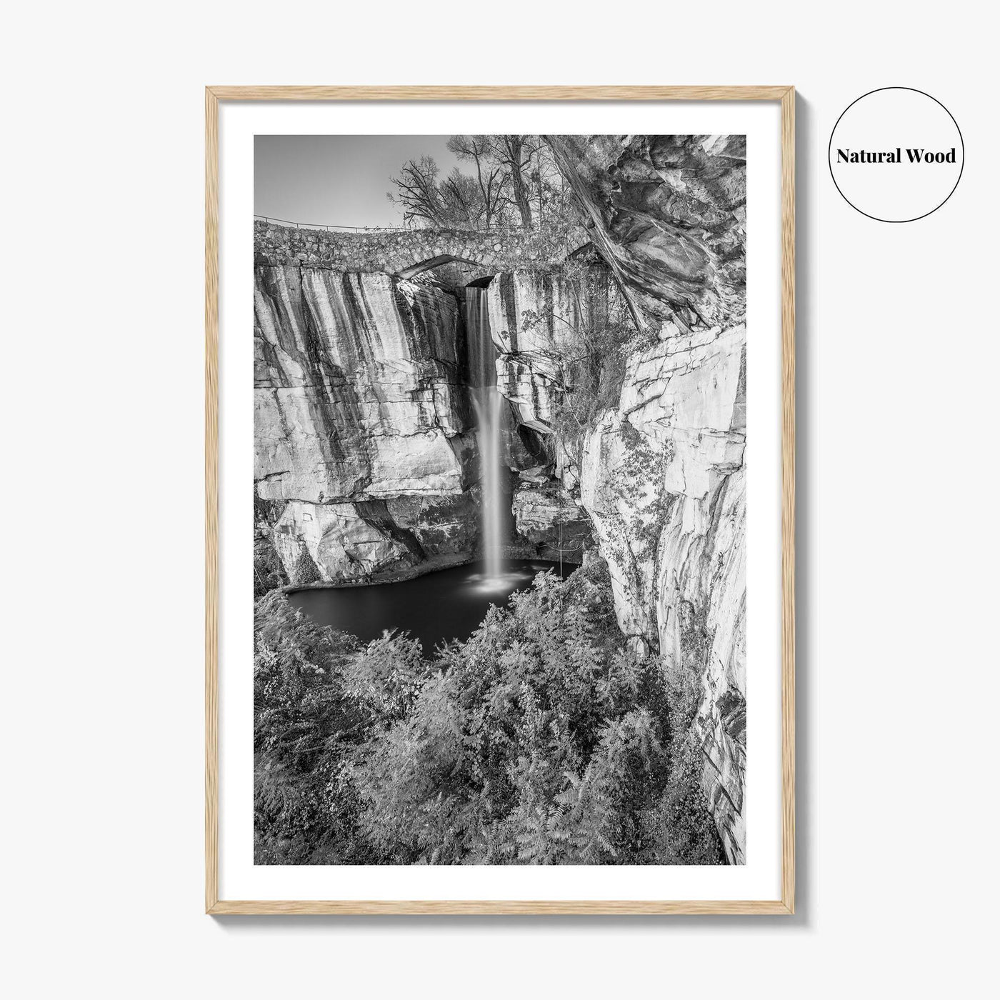 Lookout Mountain Black and White Fine Art Photo Print, Georgia USA, High Falls Poster