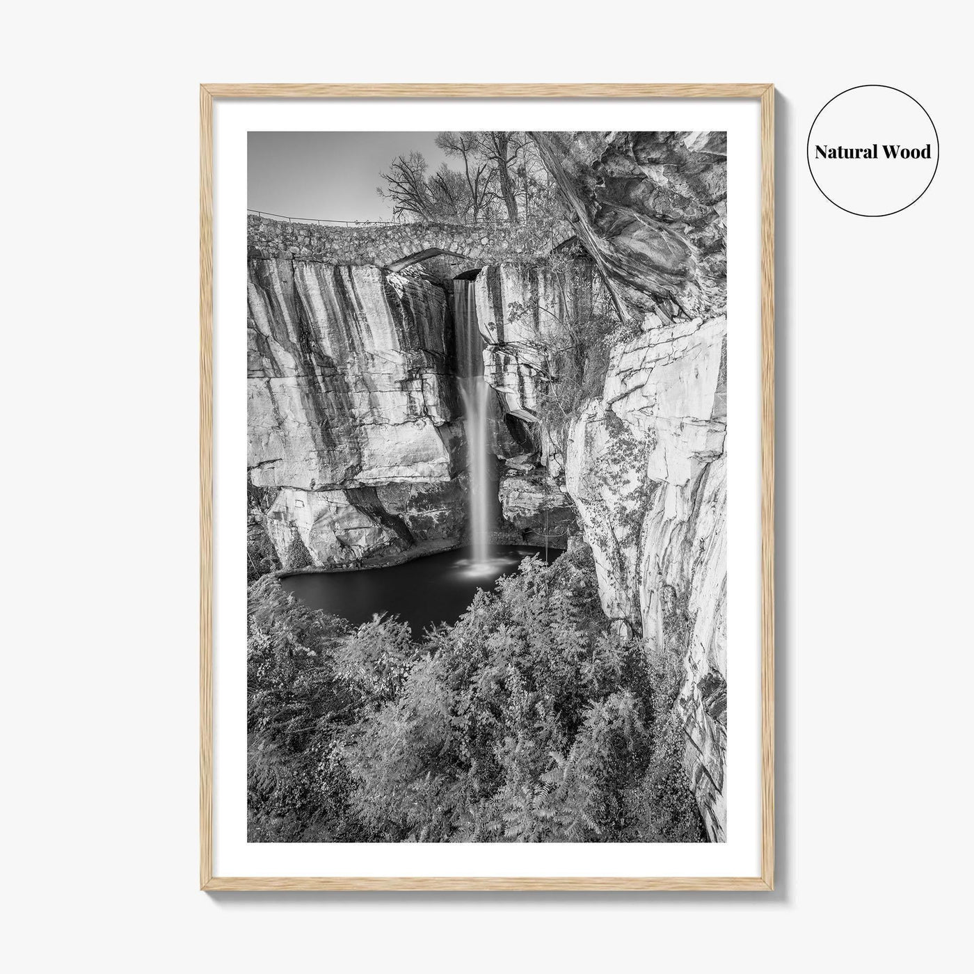 Lookout Mountain Black and White Fine Art Photo Print, Georgia USA, High Falls Poster