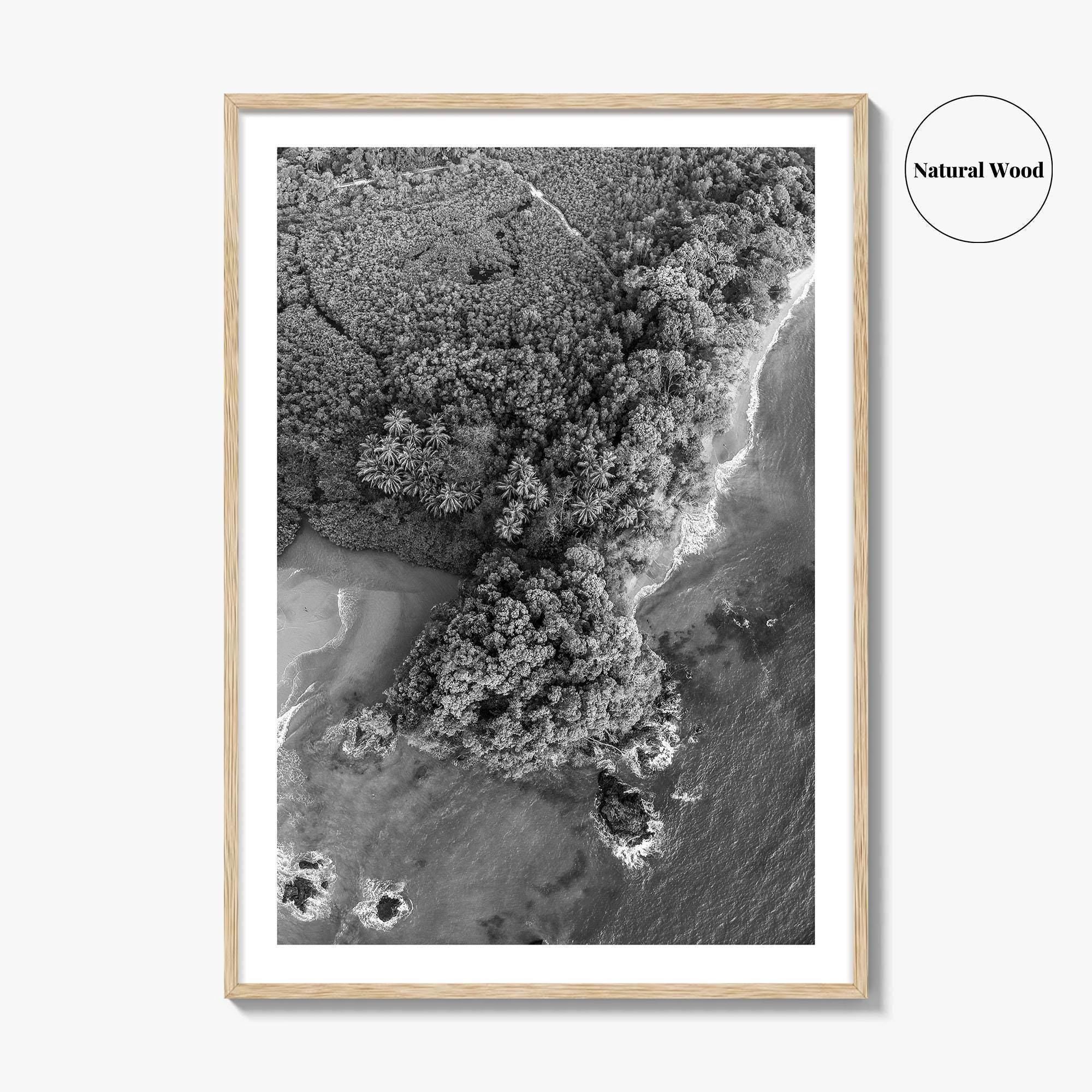 Manuel Antonio Black and White Fine Art Photo Print, Costa Rica, Beach Home Decor