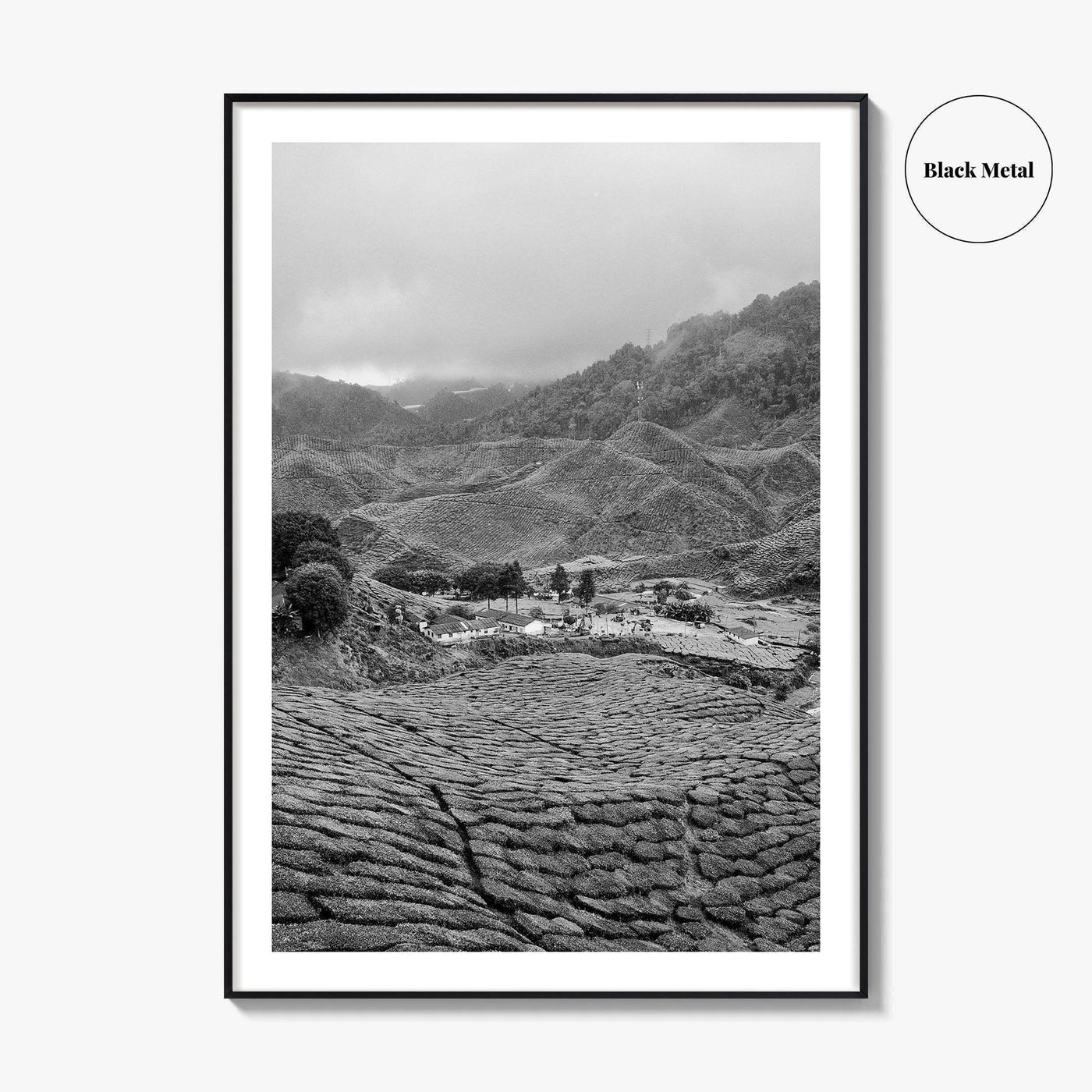 Cameroon Black and White Fine Art Photo Print, Highland Tea Farm, Africa Wall Poster