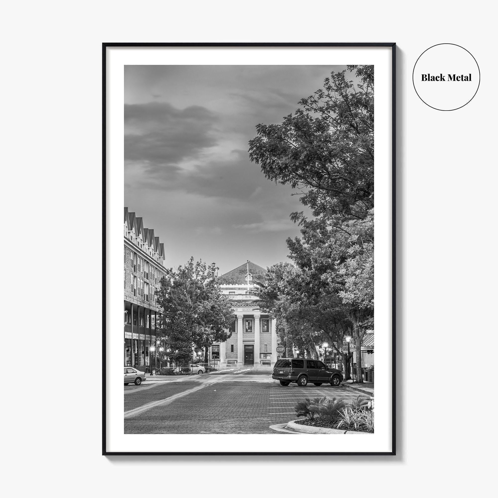Gainesville Black and White Fine Art Photo Print, FL USA, Wall Poster