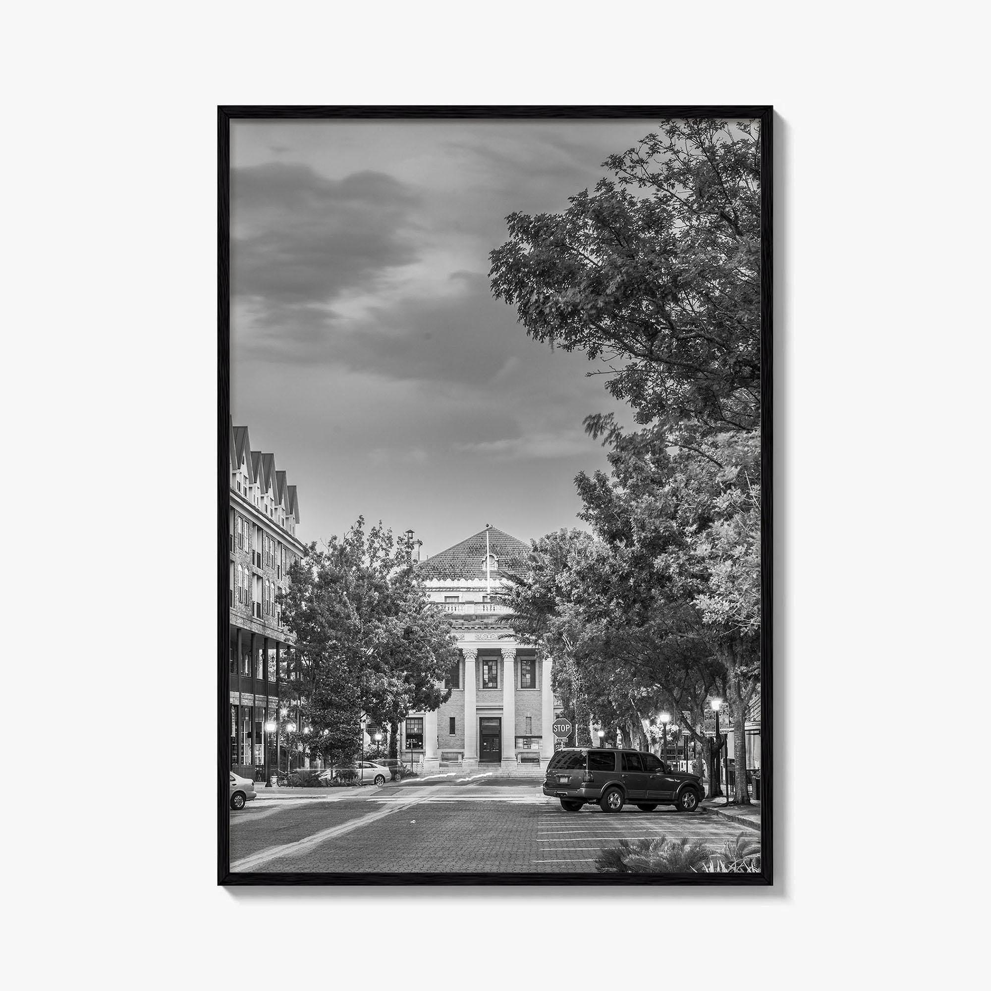 Gainesville Black and White Fine Art Photo Print, FL USA, Wall Poster
