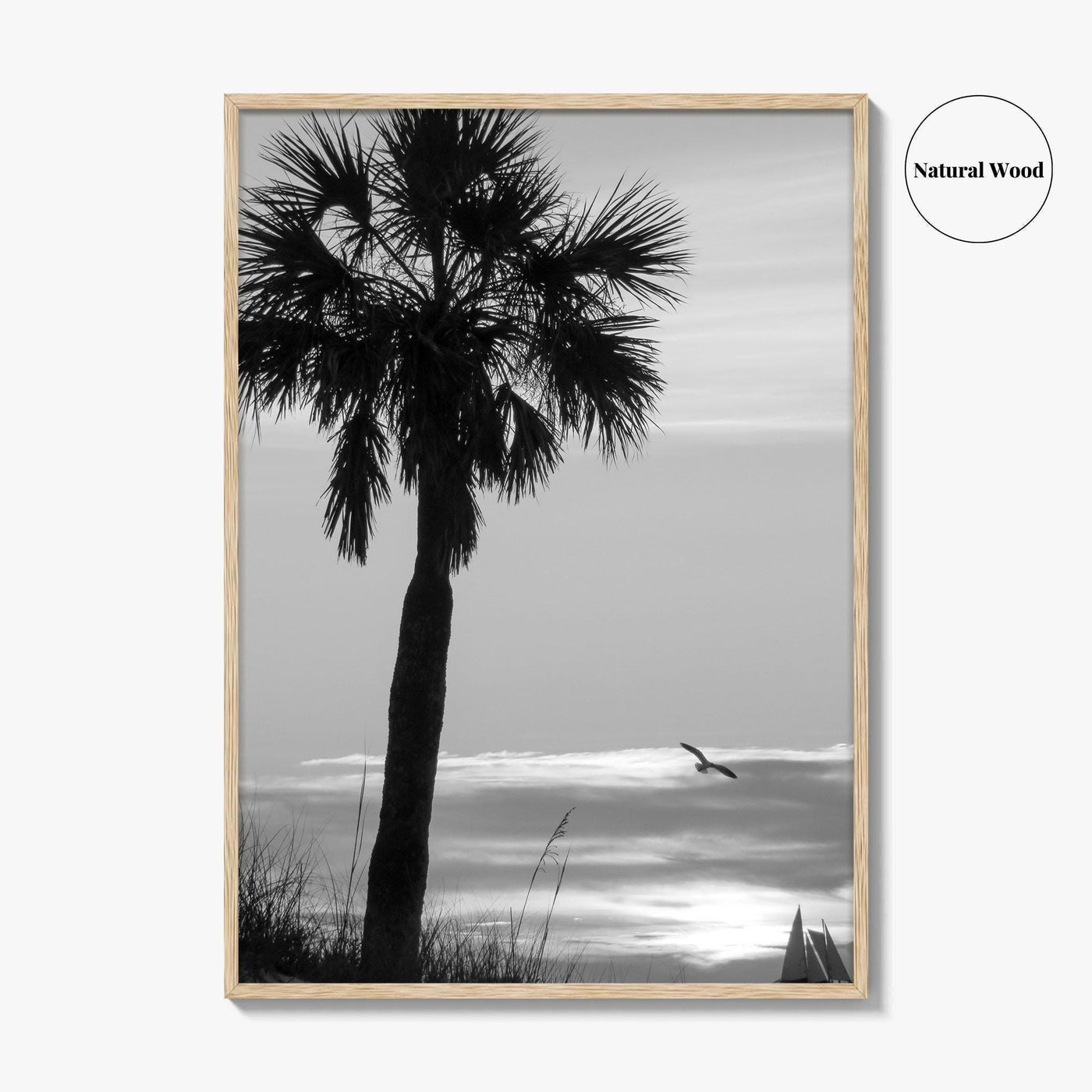 Clearwater Black and White Fine Art Photo Print, Palm Tree Florida Poster