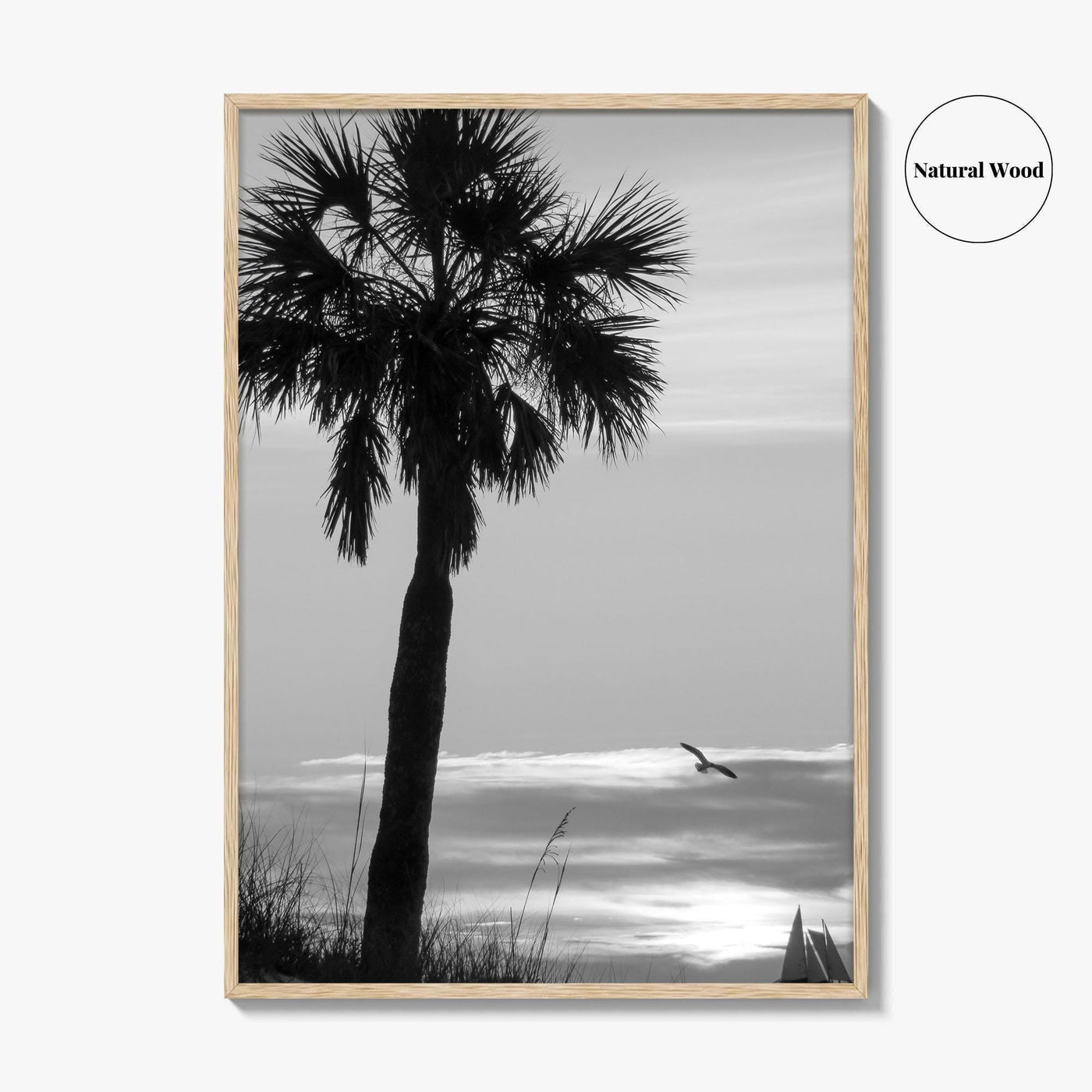 Clearwater Black and White Fine Art Photo Print, Palm Tree Florida Poster