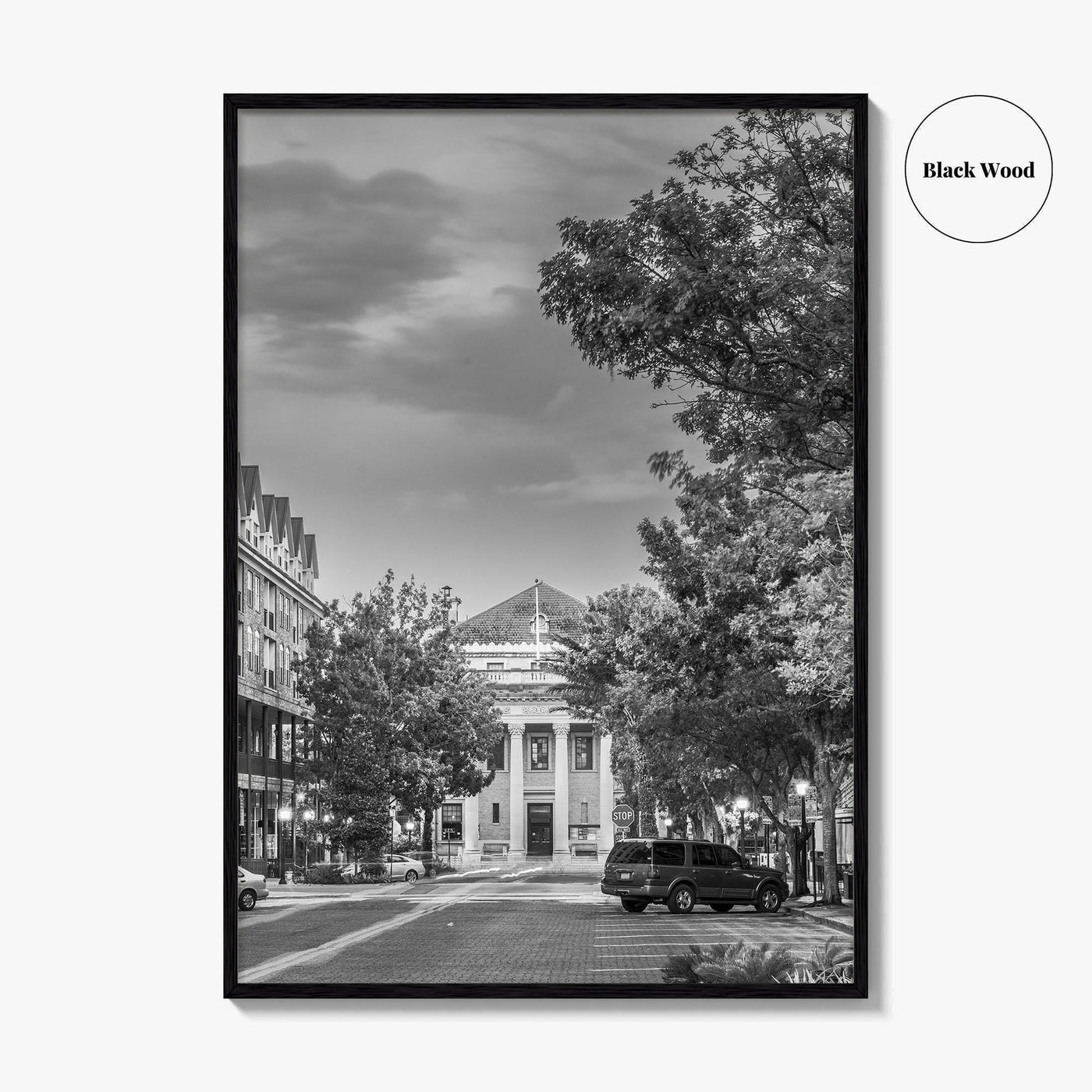 Gainesville Black and White Fine Art Photo Print, FL USA, Wall Poster