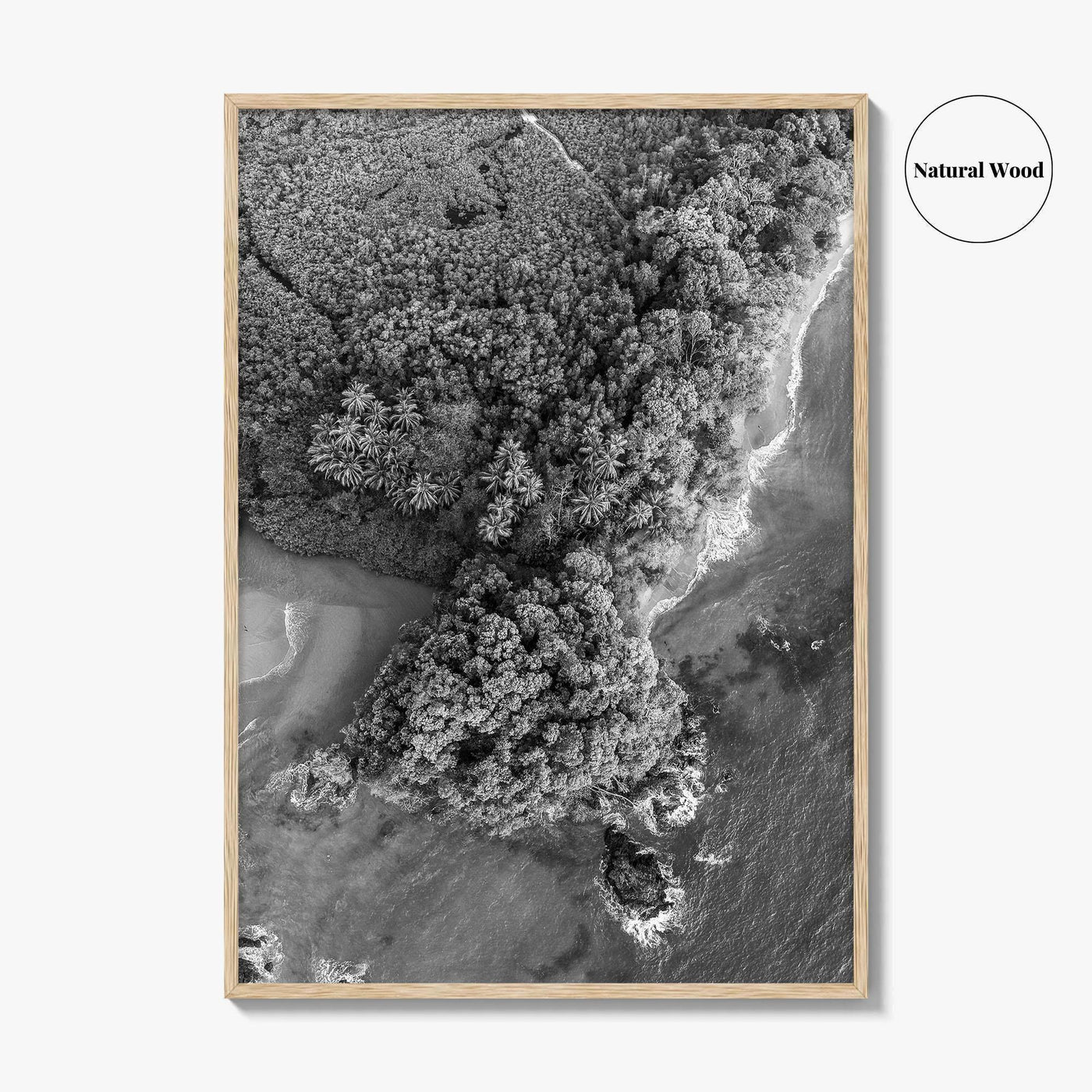 Manuel Antonio Black and White Fine Art Photo Print, Costa Rica, Beach Home Decor