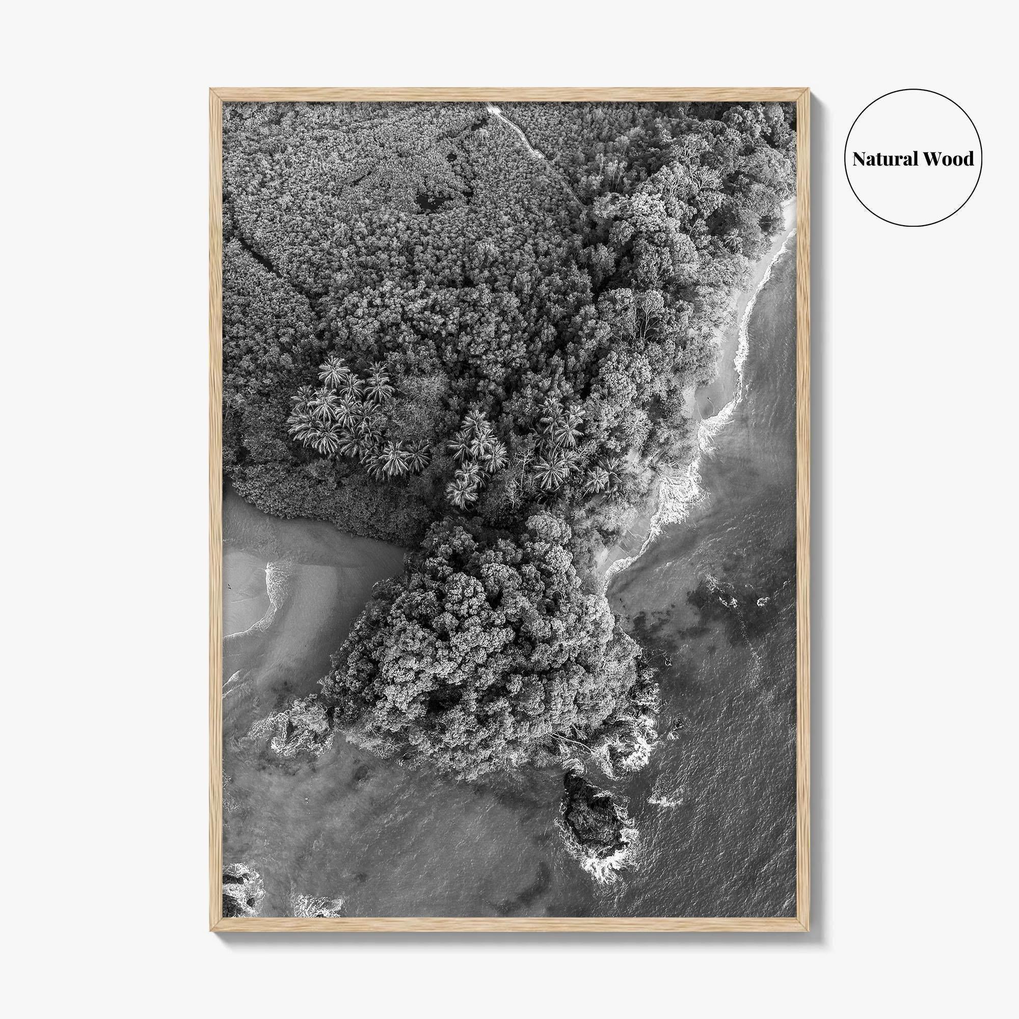 Manuel Antonio Black and White Fine Art Photo Print, Costa Rica, Beach Home Decor