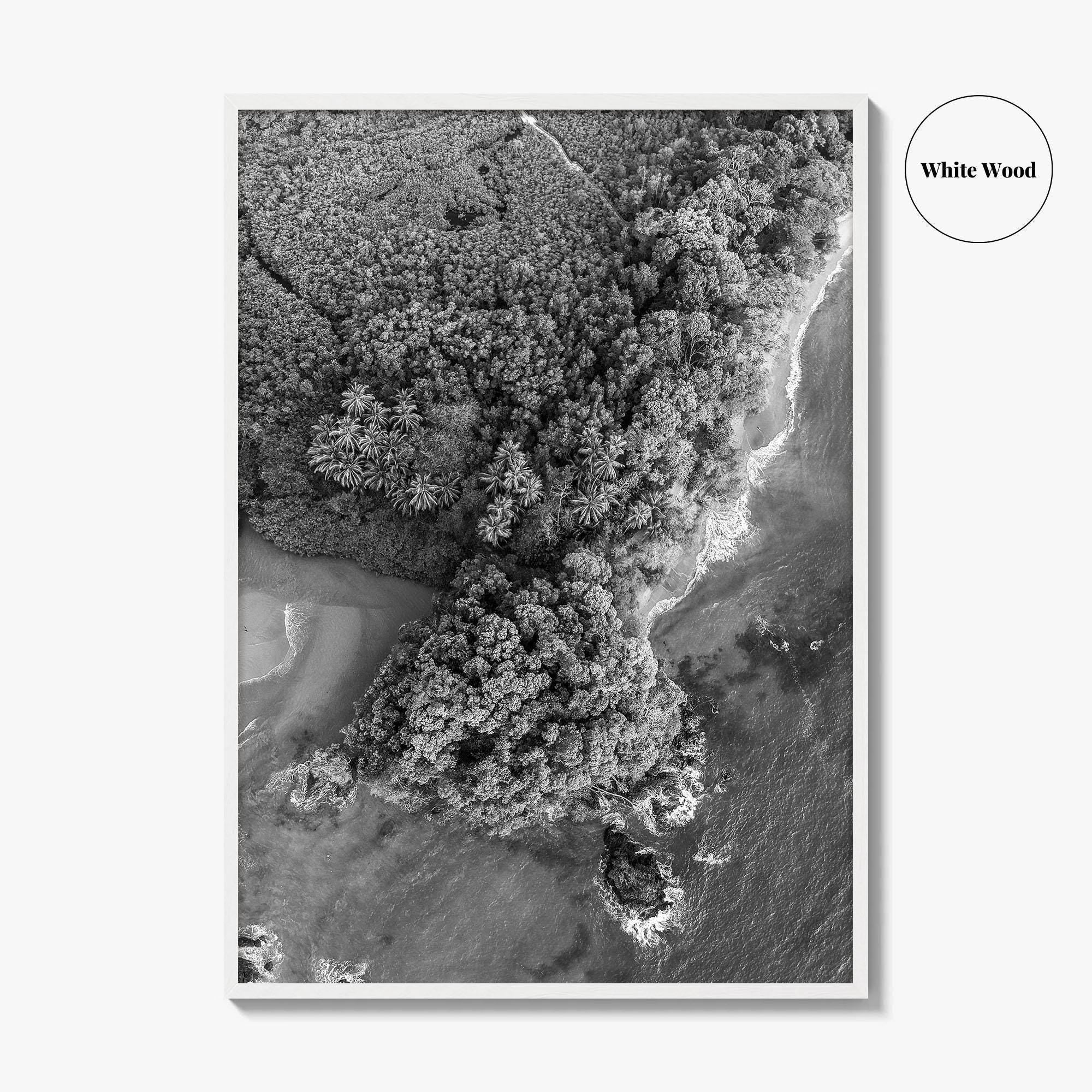 Manuel Antonio Black and White Fine Art Photo Print, Costa Rica, Beach Home Decor