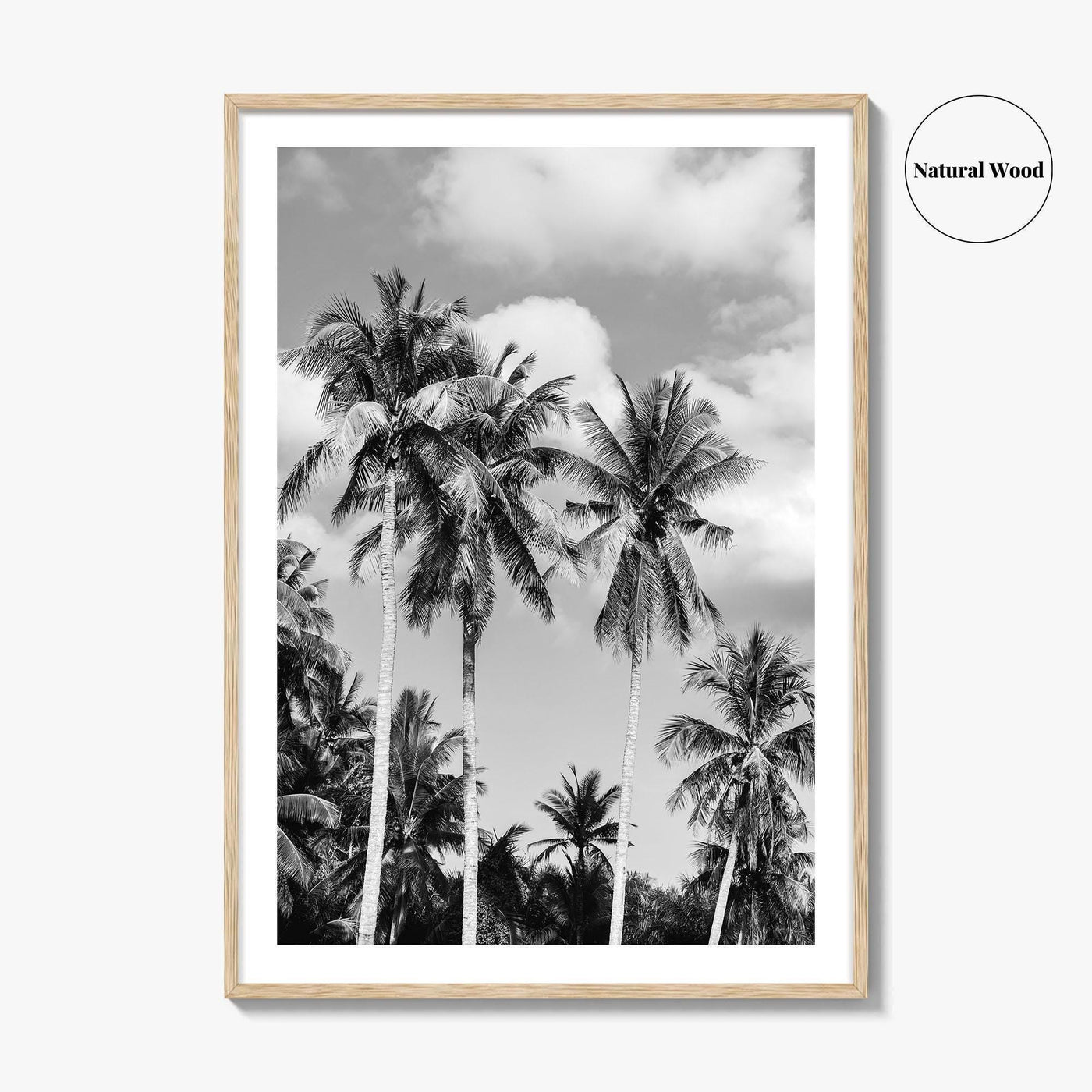 Palm Springs Black and White Fine Art Photo Print, Coachella Valley California Poster
