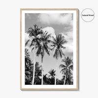 Palm Springs Black and White Fine Art Photo Print, Coachella Valley California Poster