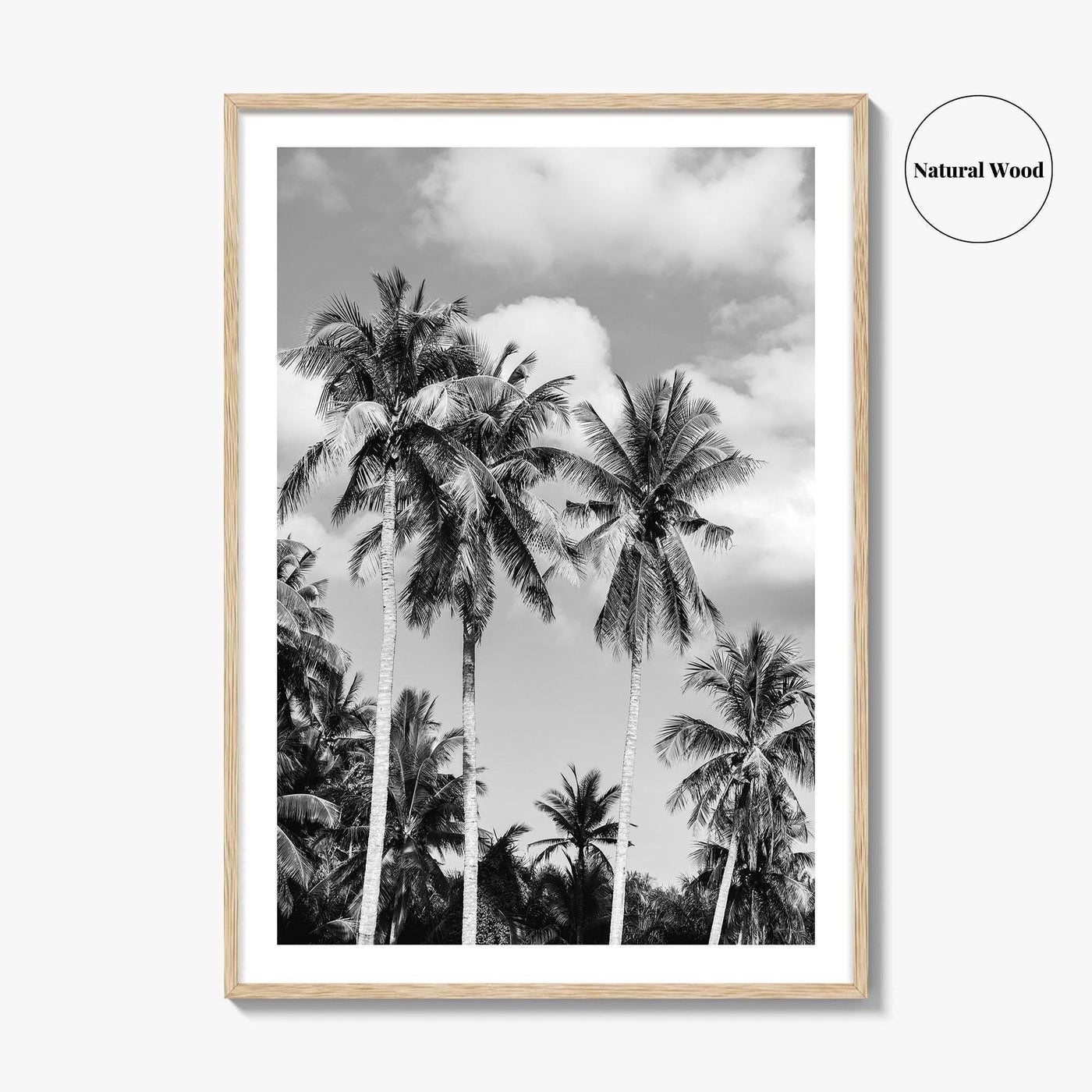 Palm Springs Black and White Fine Art Photo Print, Coachella Valley California Poster