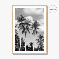 Palm Springs Black and White Fine Art Photo Print, Coachella Valley California Poster