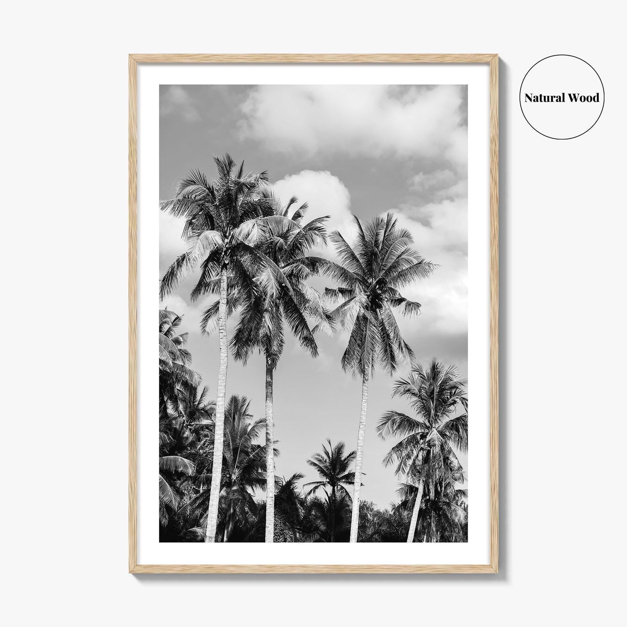 Palm Springs Black and White Fine Art Photo Print, Coachella Valley California Poster