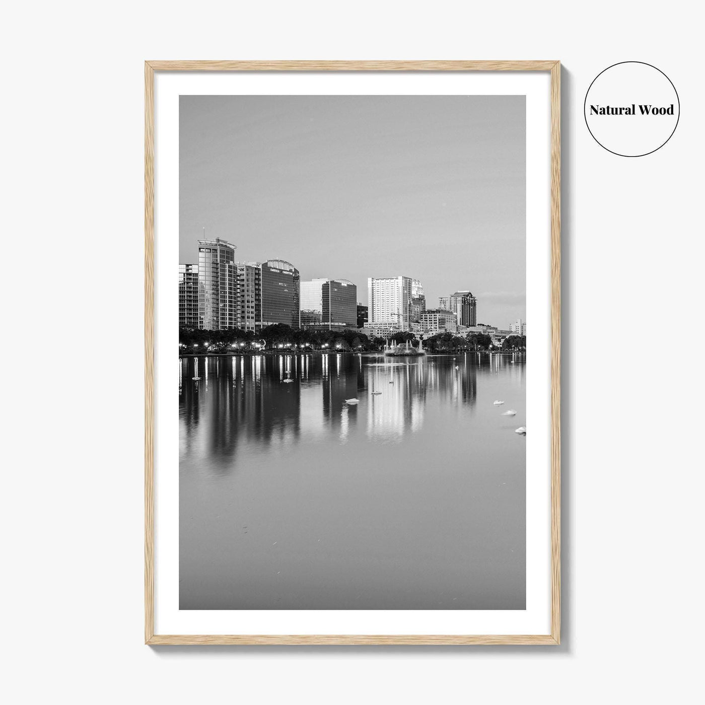 Orlando Black and White Fine Art Photo Print, Lake Eola Park Florida Poster