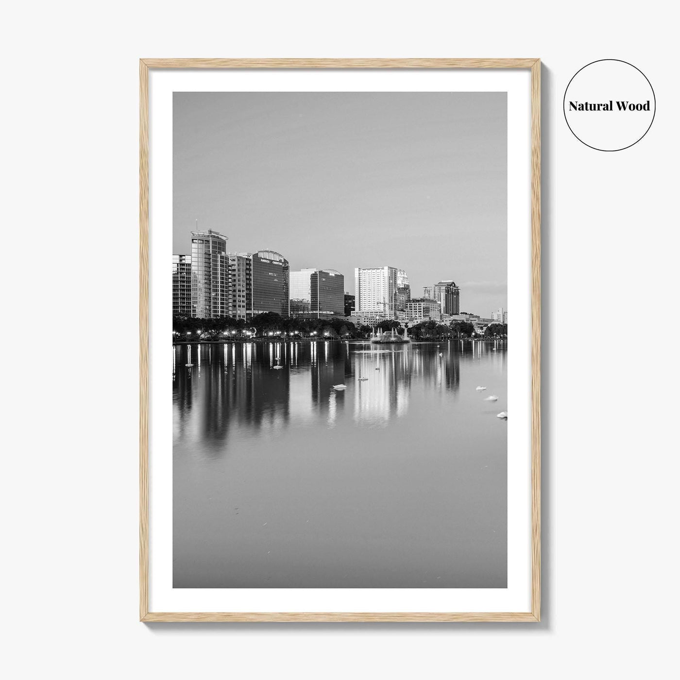 Orlando Black and White Fine Art Photo Print, Lake Eola Park Florida Poster