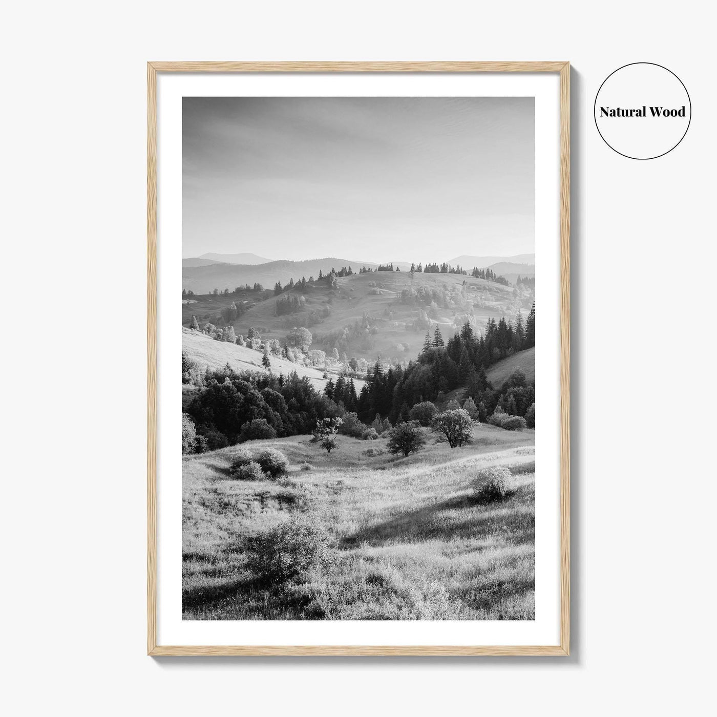 Carpathian Mountains Black and White Fine Art Photo Print, Ukraine Landscape Poster, Europe