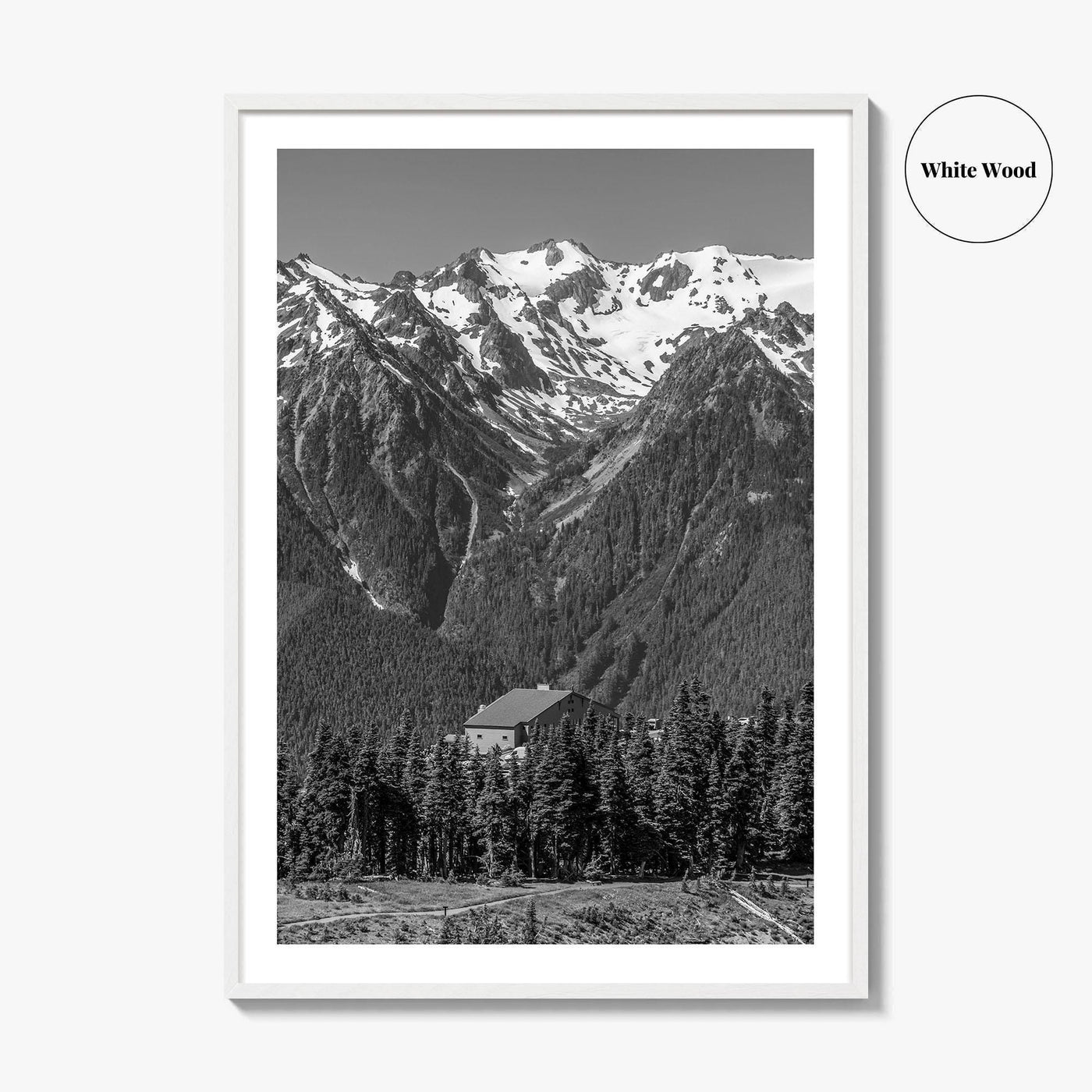 Olympic National Park Black and White Fine Art Photo Print, Hurricane Ridge, Washington, USA