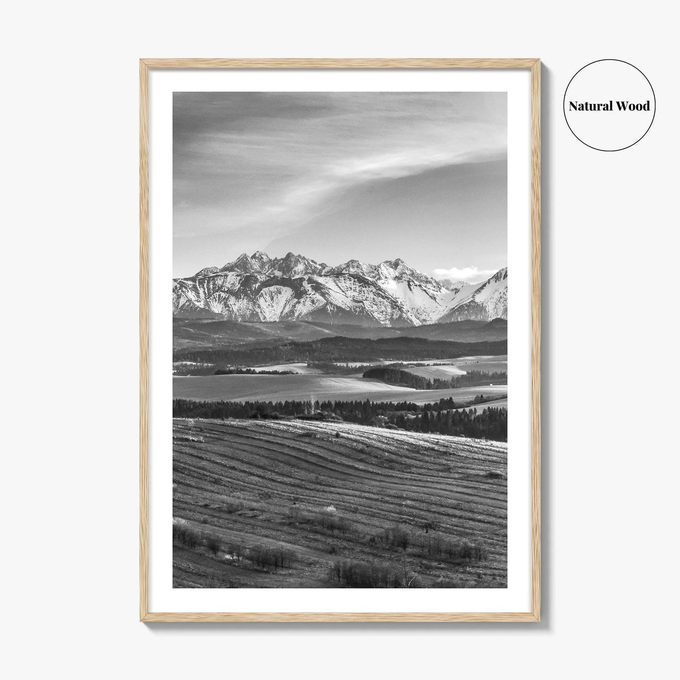 Slovakia Black and White Fine Art Photo Print, Belianske Tatry, Tatra Mountains Art