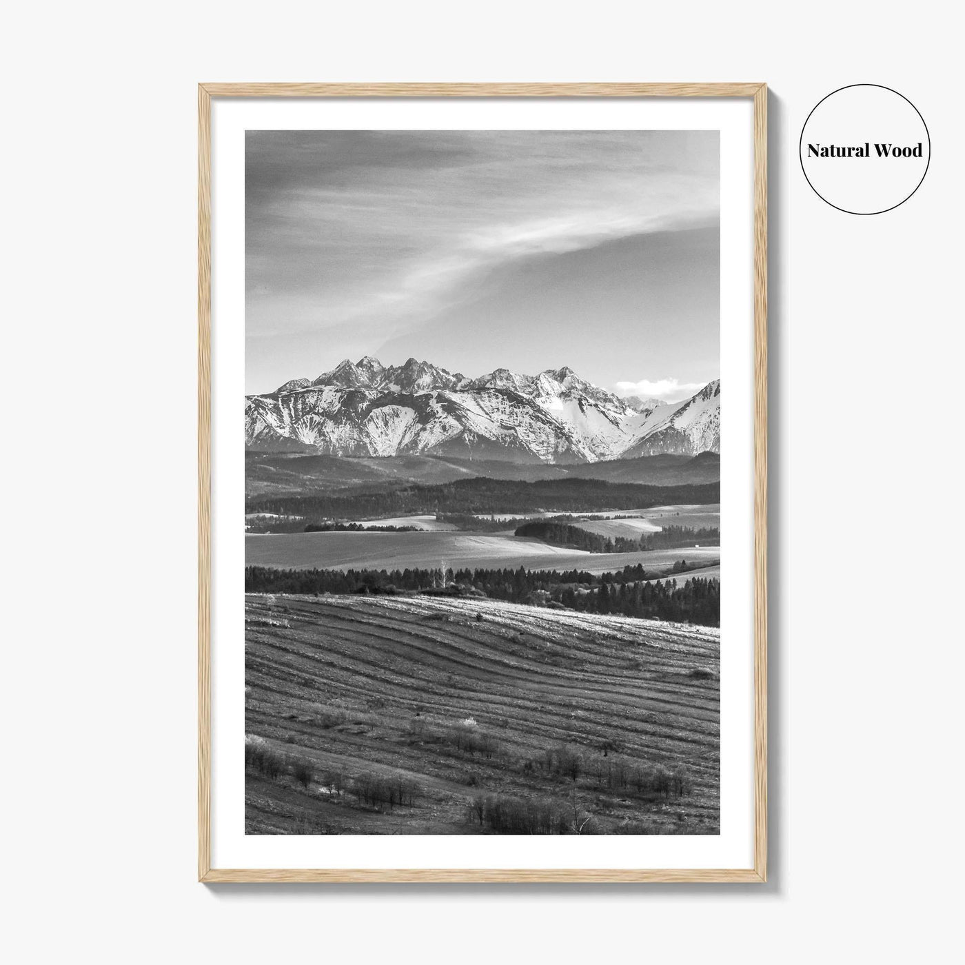 Slovakia Black and White Fine Art Photo Print, Belianske Tatry, Tatra Mountains Art