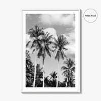 Palm Springs Black and White Fine Art Photo Print, Coachella Valley California Poster