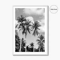 Palm Springs Black and White Fine Art Photo Print, Coachella Valley California Poster