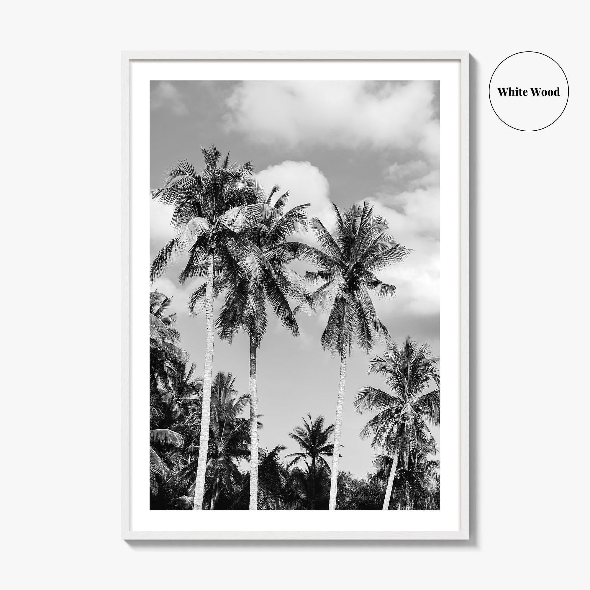 Palm Springs Black and White Fine Art Photo Print, Coachella Valley California Poster
