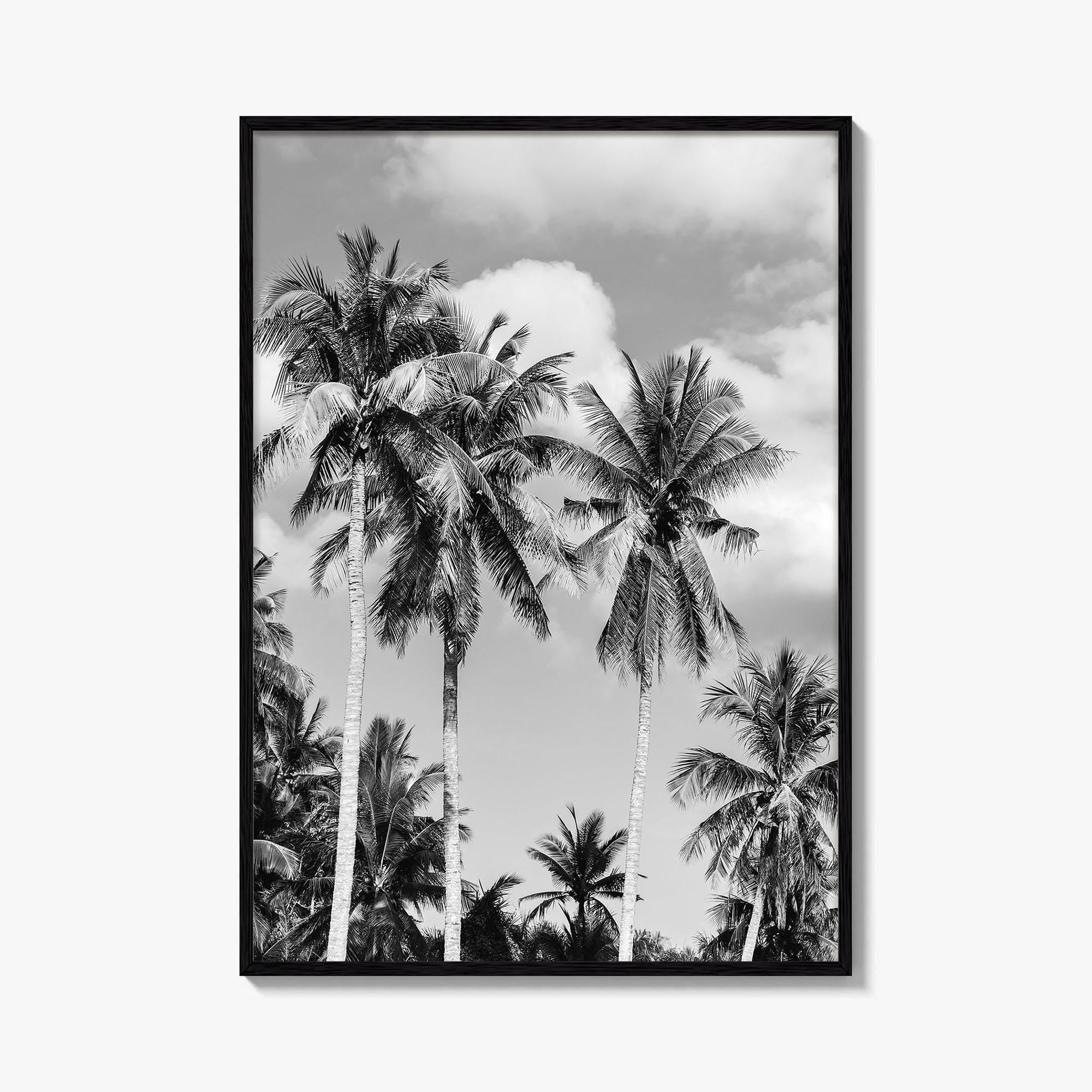 Palm Springs Black and White Fine Art Photo Print, Coachella Valley California Poster