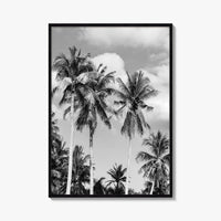 Palm Springs Black and White Fine Art Photo Print, Coachella Valley California Poster