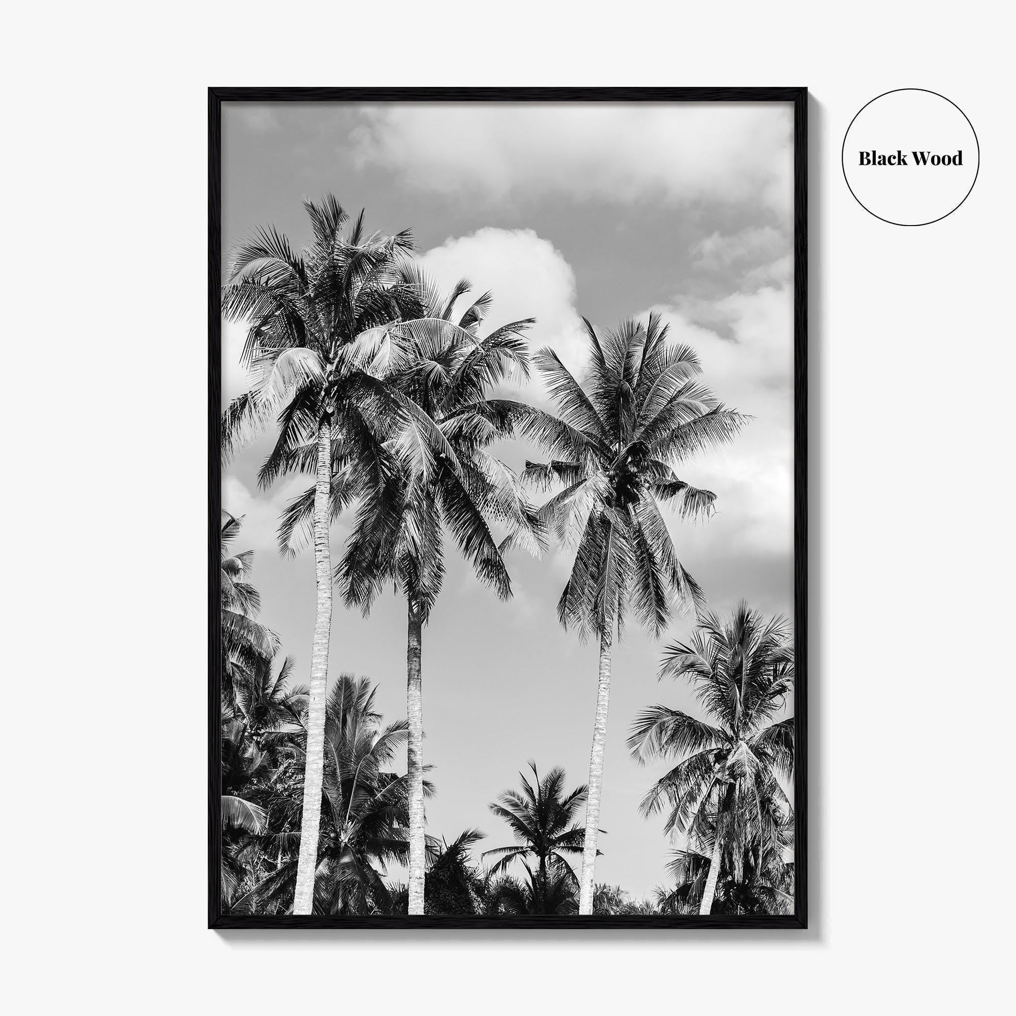 Palm Springs Black and White Fine Art Photo Print, Coachella Valley California Poster
