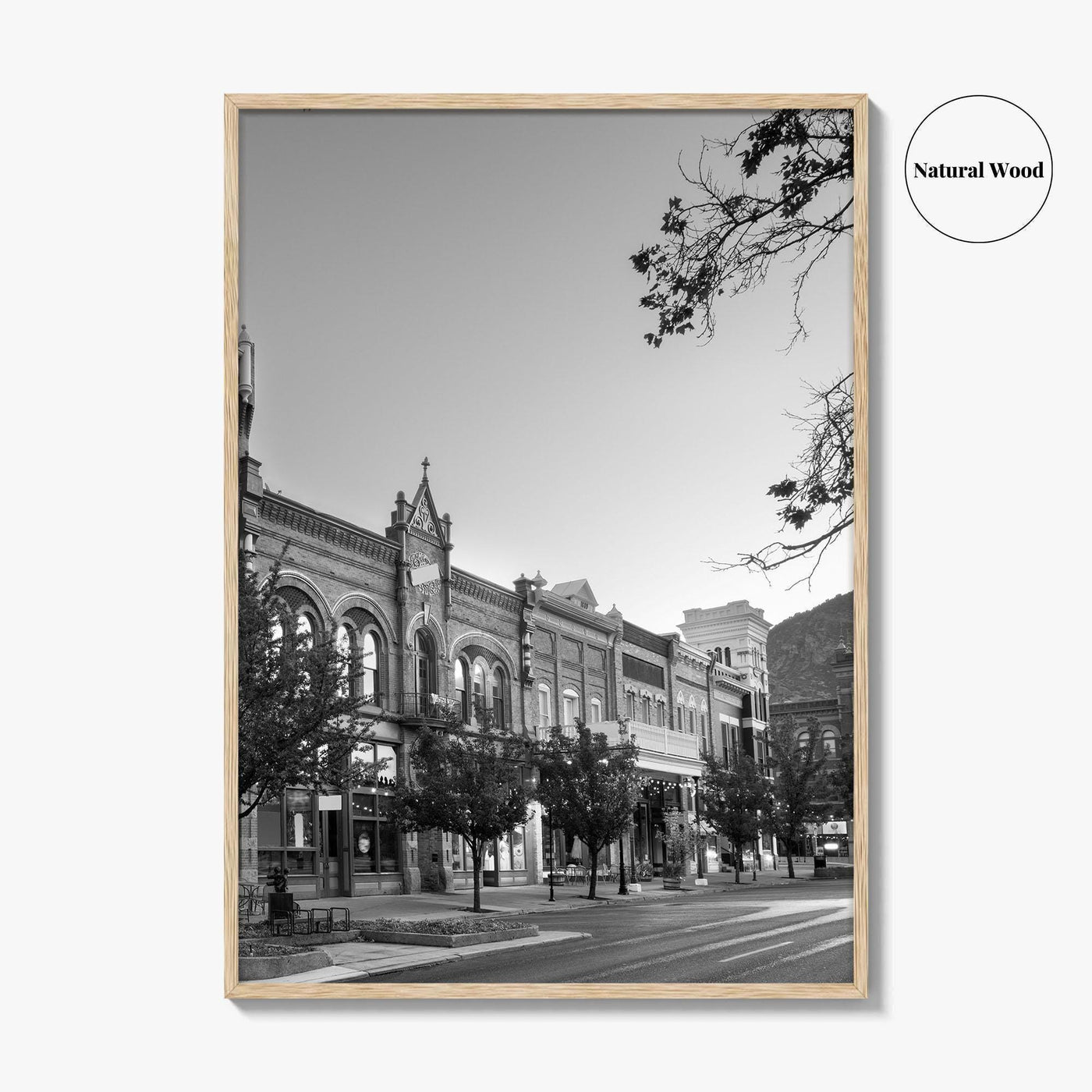 Provo Black and White Fine Art Photo Print, Utah, Downtown Center Street, Poster