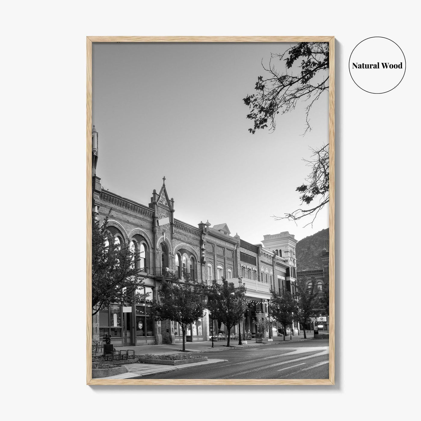 Provo Black and White Fine Art Photo Print, Utah, Downtown Center Street, Poster