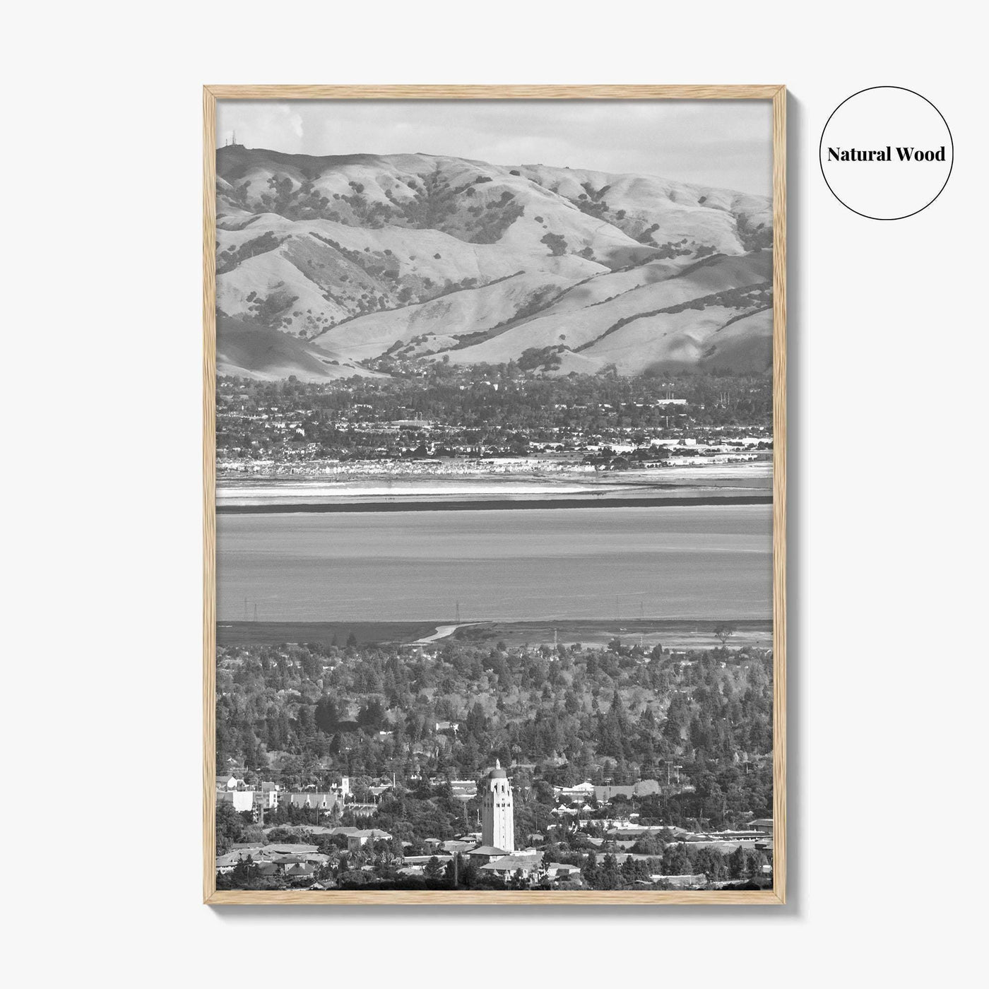 Palo Alto Black and White Fine Art Photo Print, Silicon Valley, California Poster