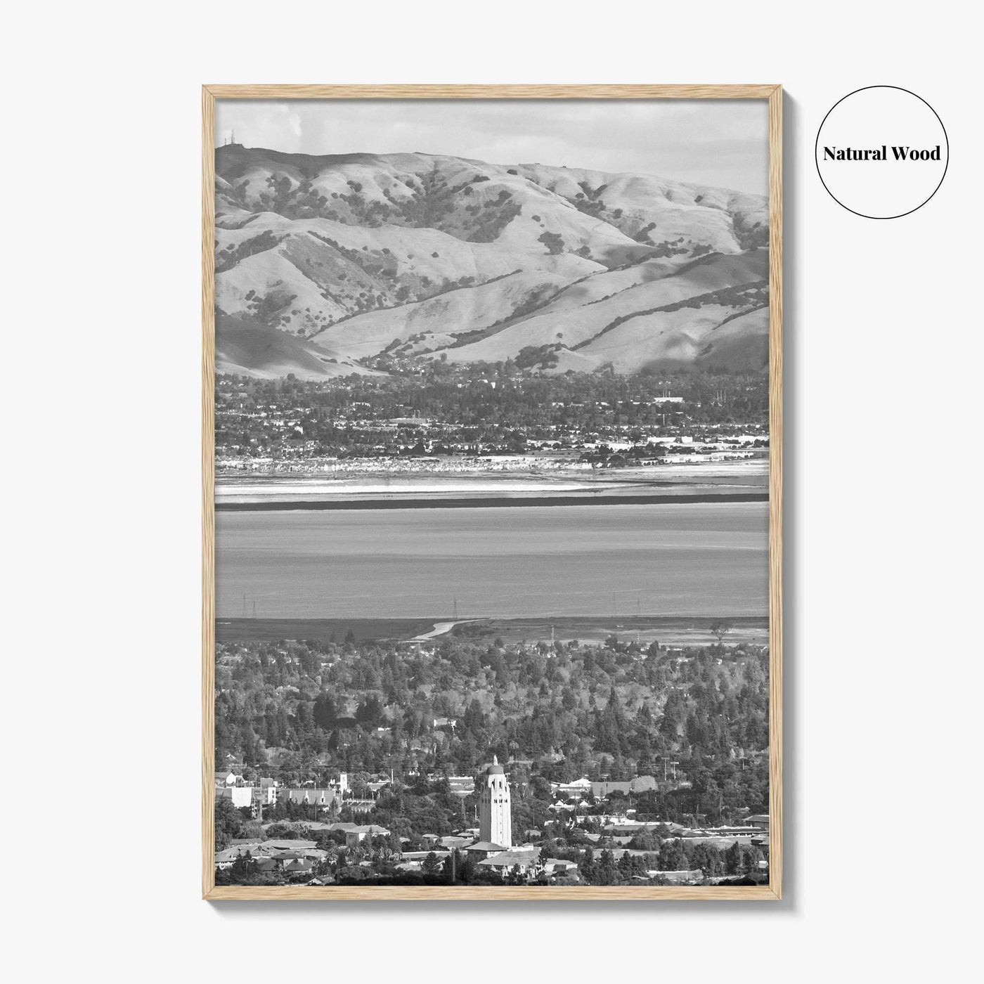 Palo Alto Black and White Fine Art Photo Print, Silicon Valley, California Poster