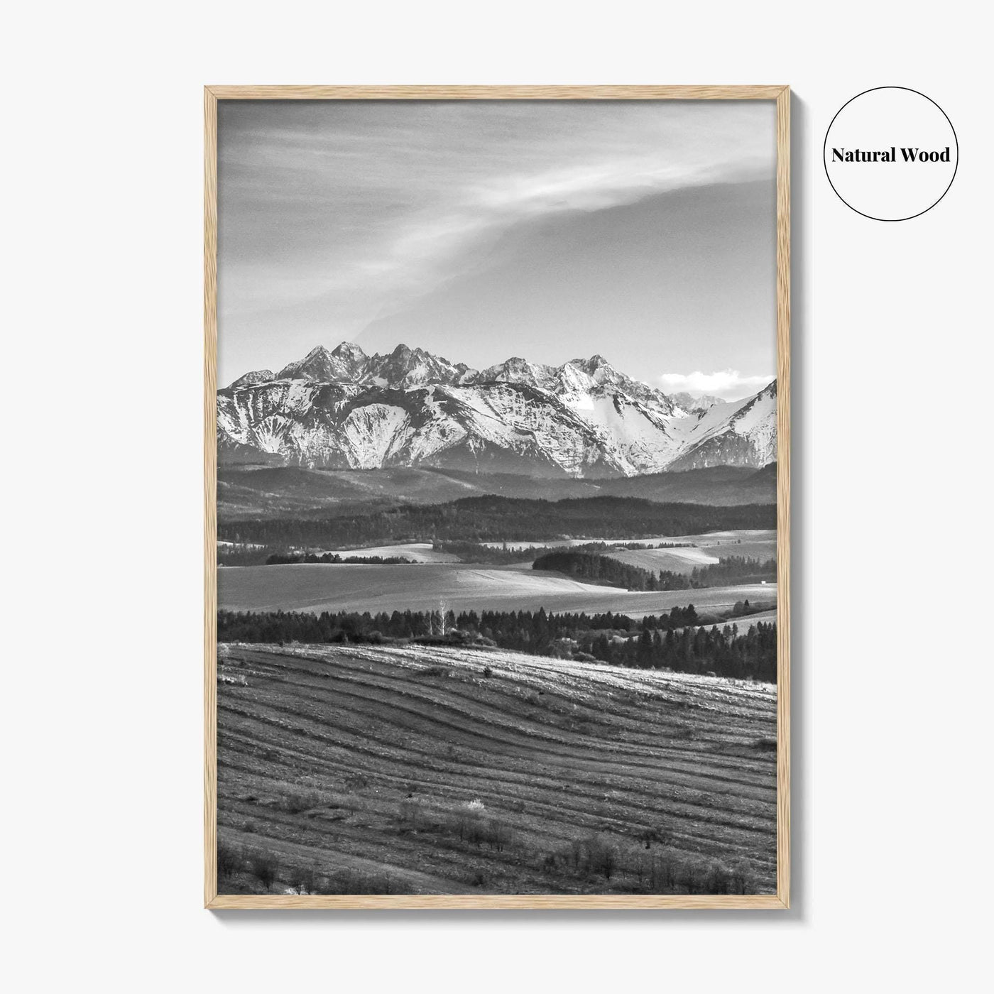 Slovakia Black and White Fine Art Photo Print, Belianske Tatry, Tatra Mountains Art