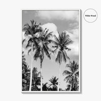 Palm Springs Black and White Fine Art Photo Print, Coachella Valley California Poster