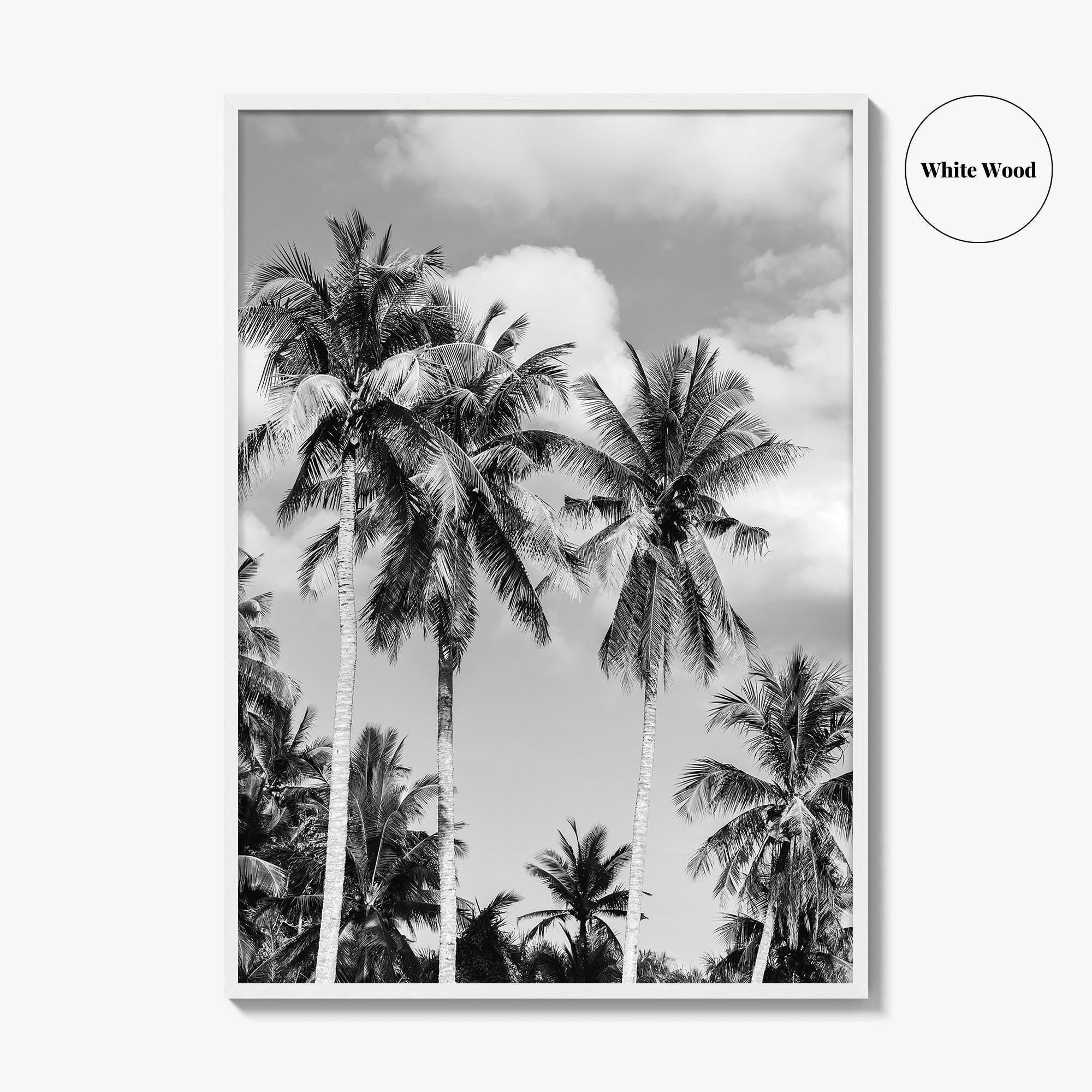 Palm Springs Black and White Fine Art Photo Print, Coachella Valley California Poster