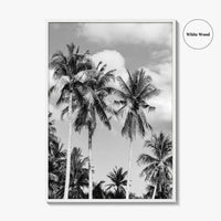 Palm Springs Black and White Fine Art Photo Print, Coachella Valley California Poster