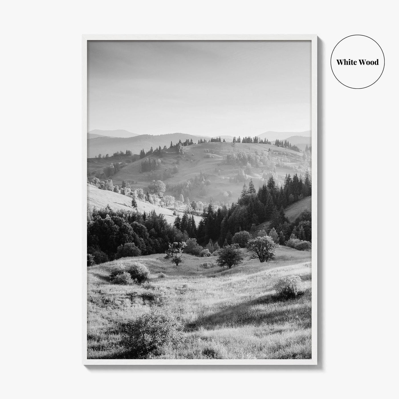 Carpathian Mountains Black and White Fine Art Photo Print, Ukraine Landscape Poster, Europe