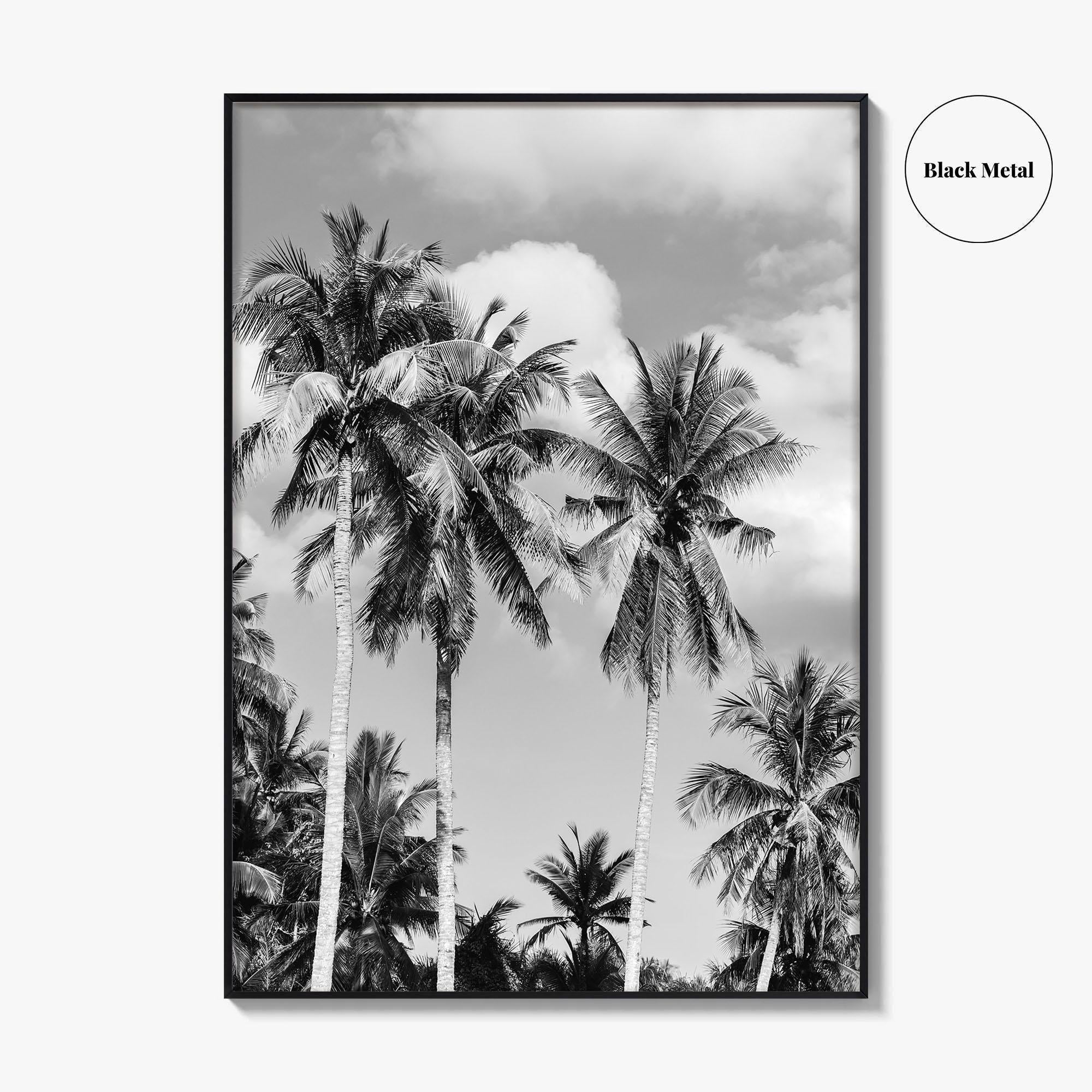 Palm Springs Black and White Fine Art Photo Print, Coachella Valley California Poster